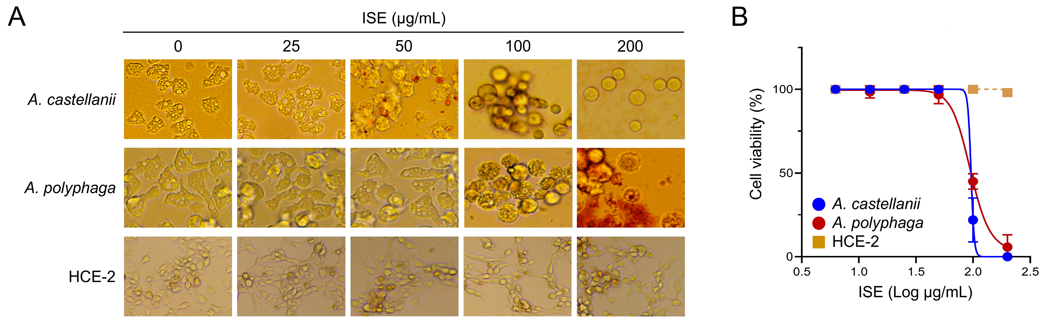 Microorganisms 12 01658 g001