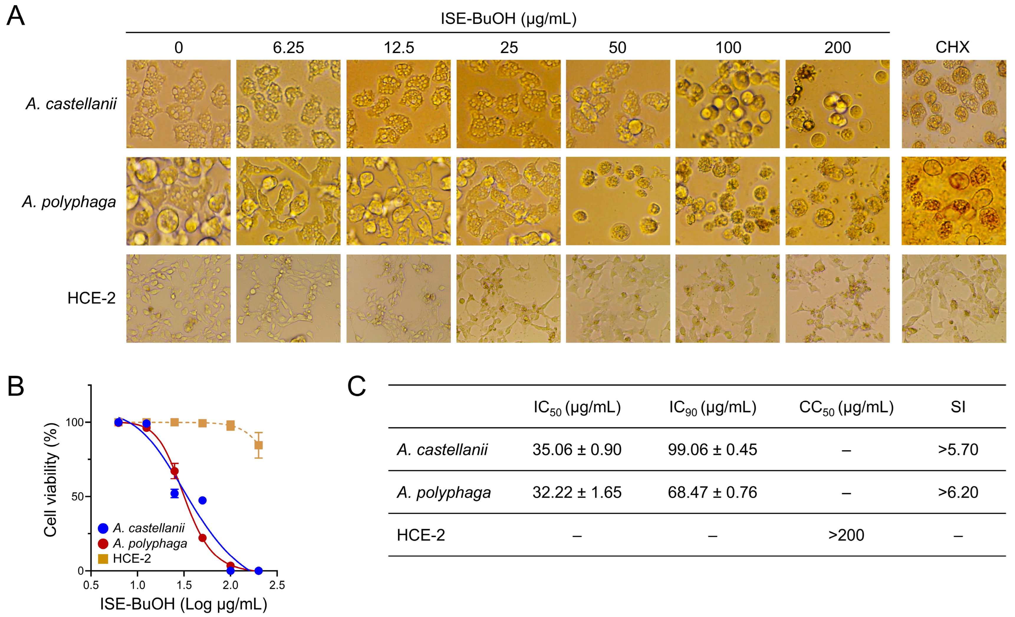 Microorganisms 12 01658 g003