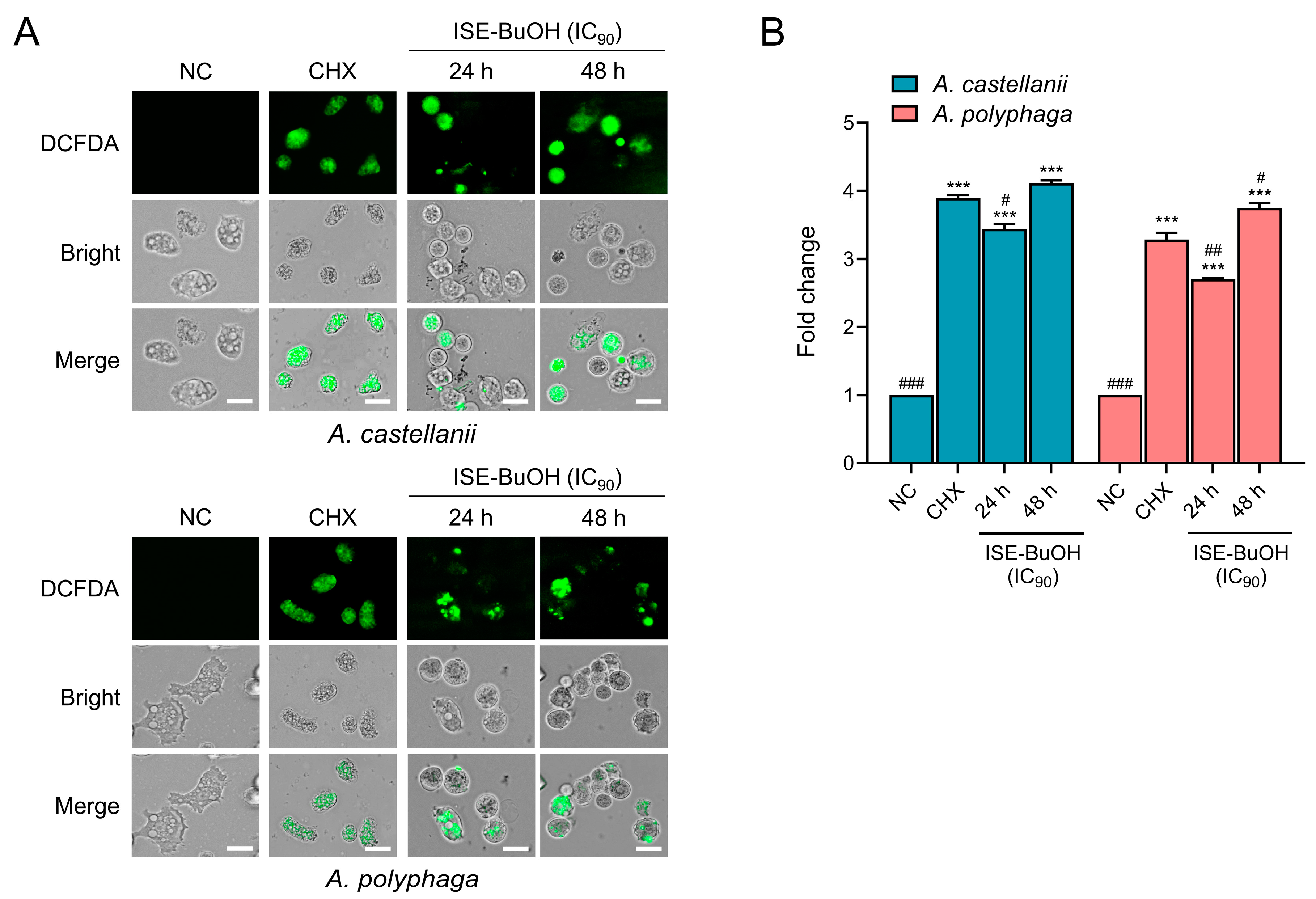 Microorganisms 12 01658 g006