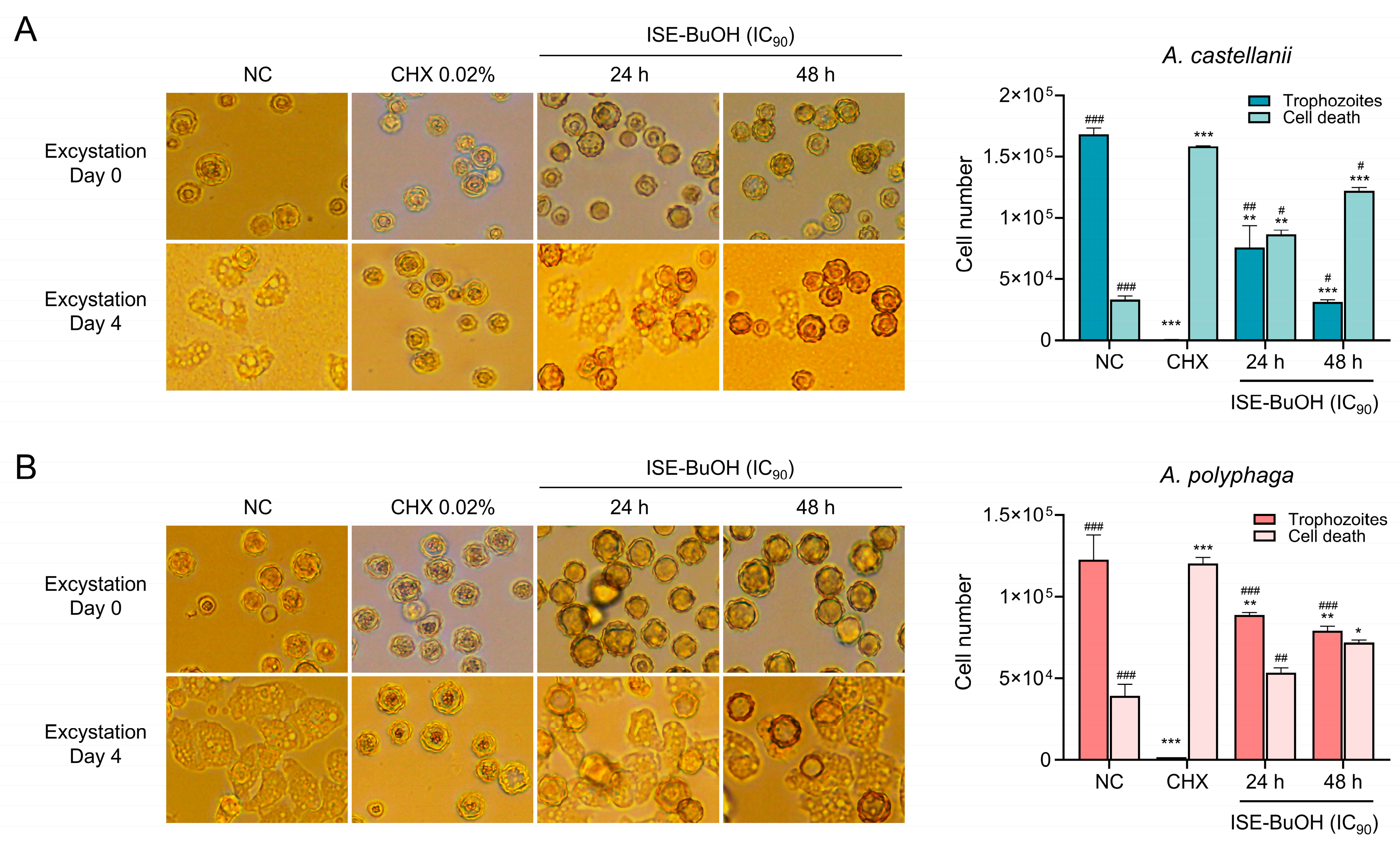 Microorganisms 12 01658 g009