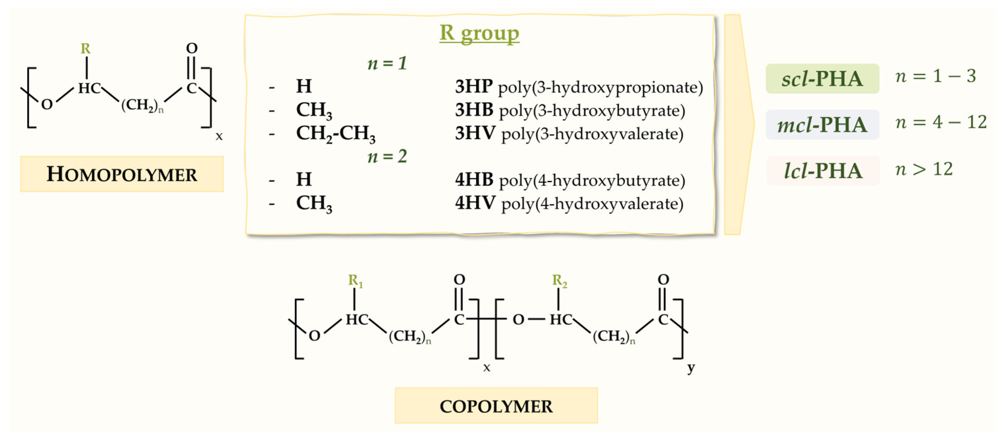 Microorganisms 12 01668 g001