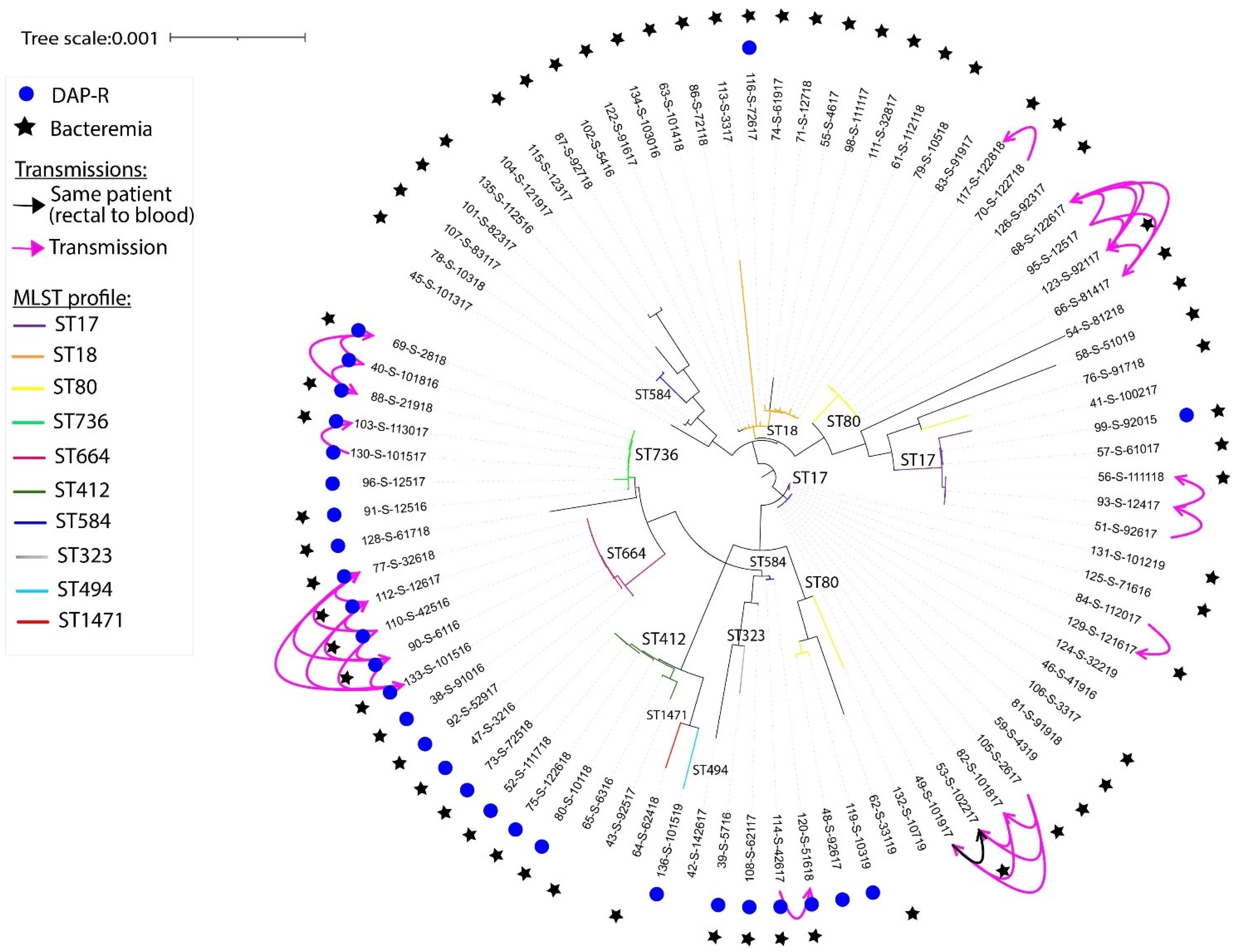 Microorganisms 12 01676 g001