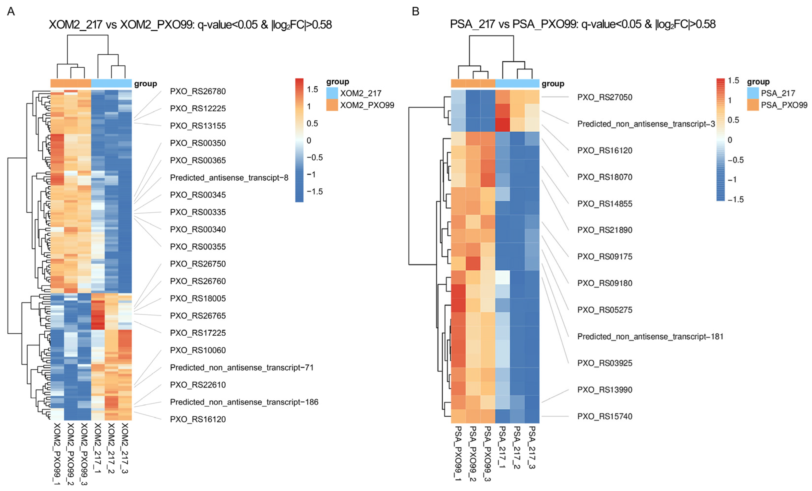 Microorganisms 12 01684 g004