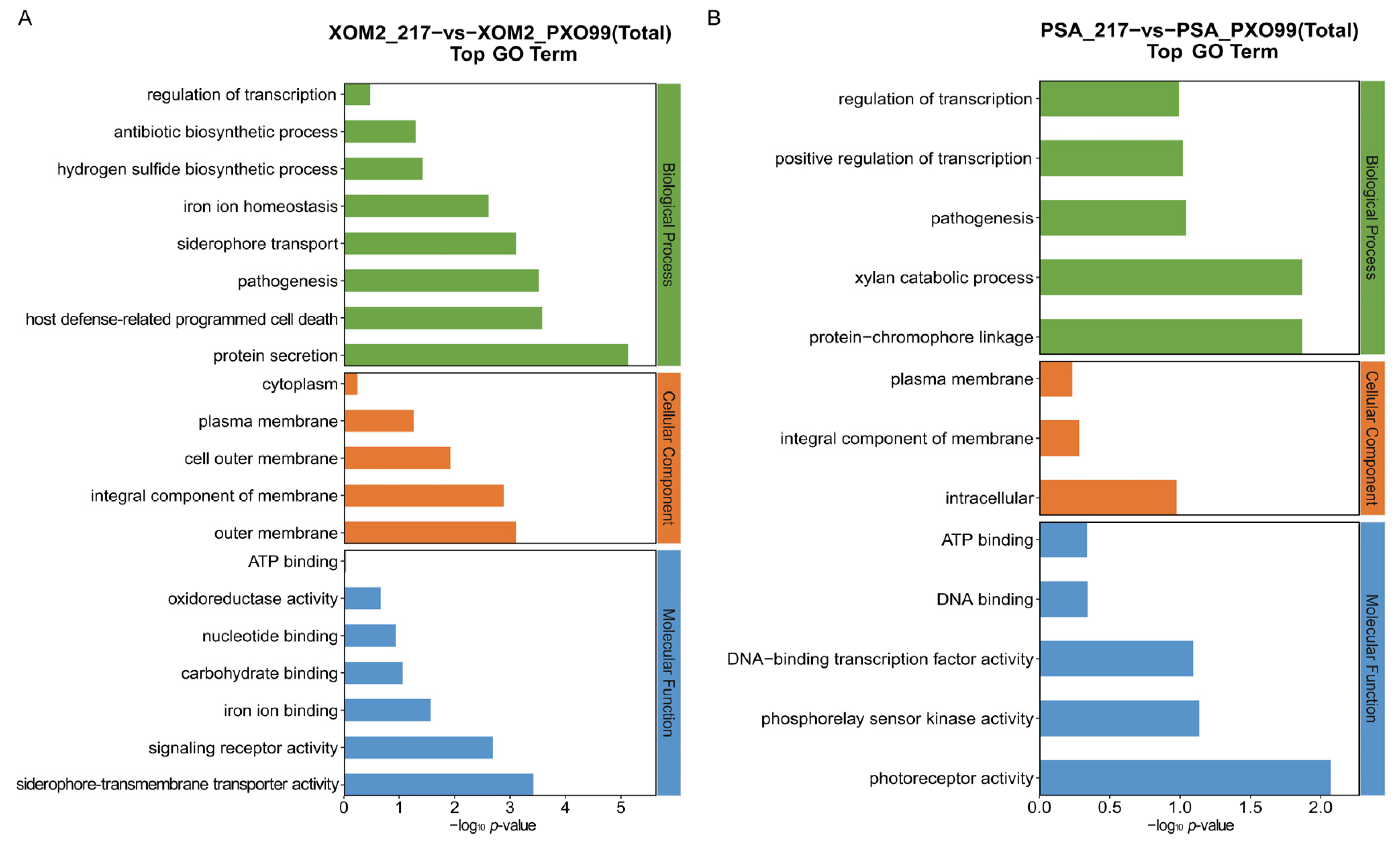 Microorganisms 12 01684 g005