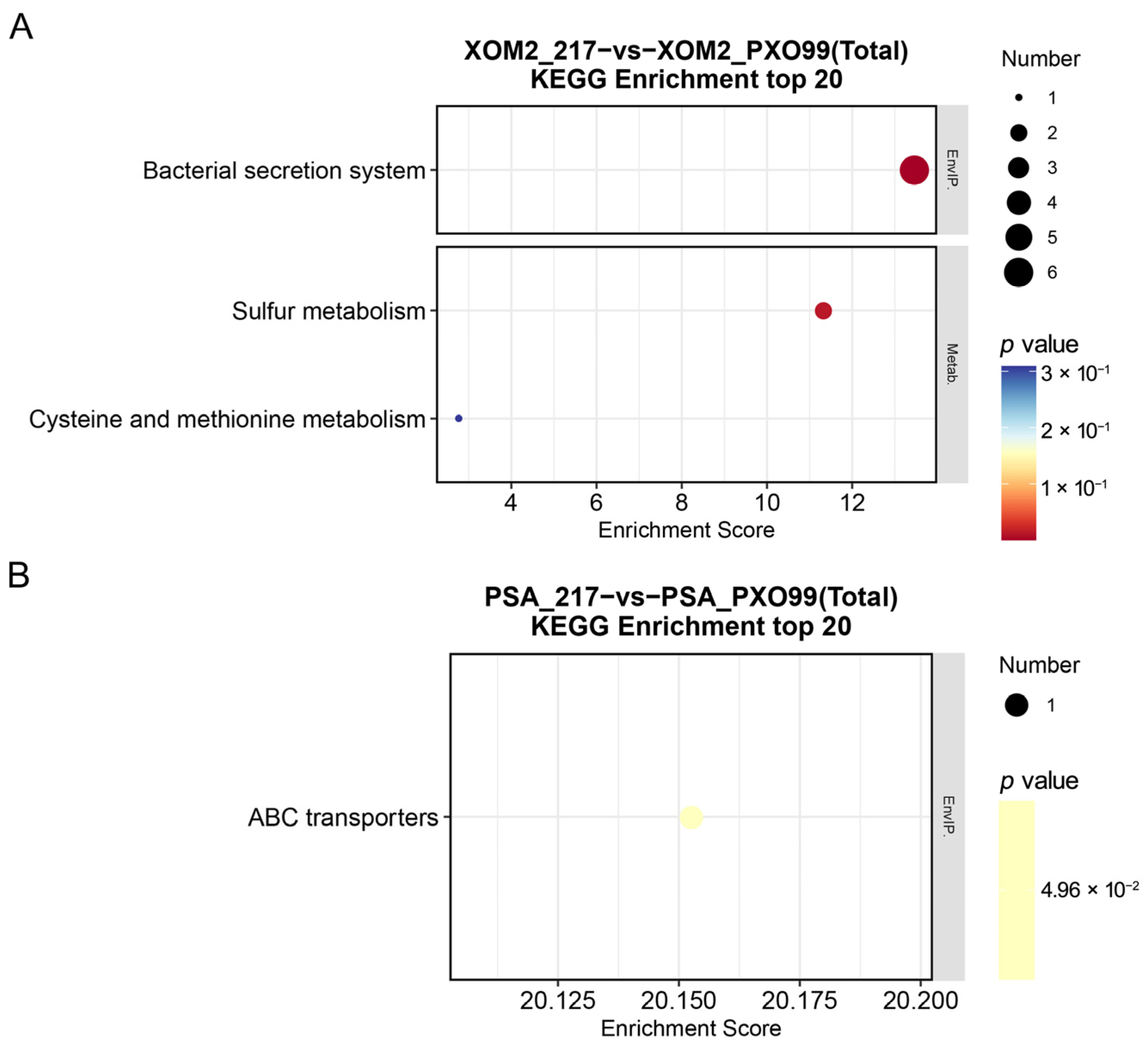 Microorganisms 12 01684 g006