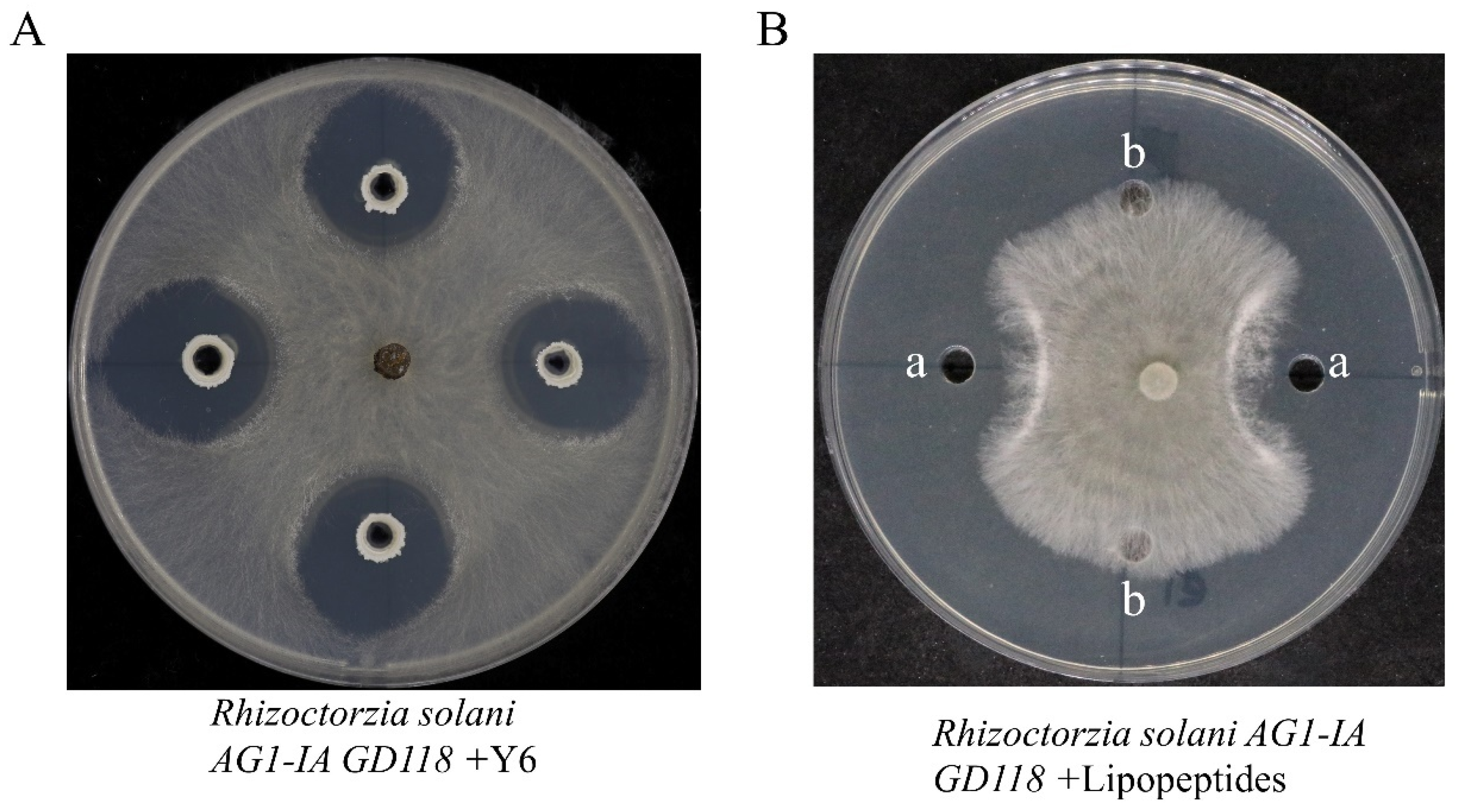 Microorganisms 12 01694 g001