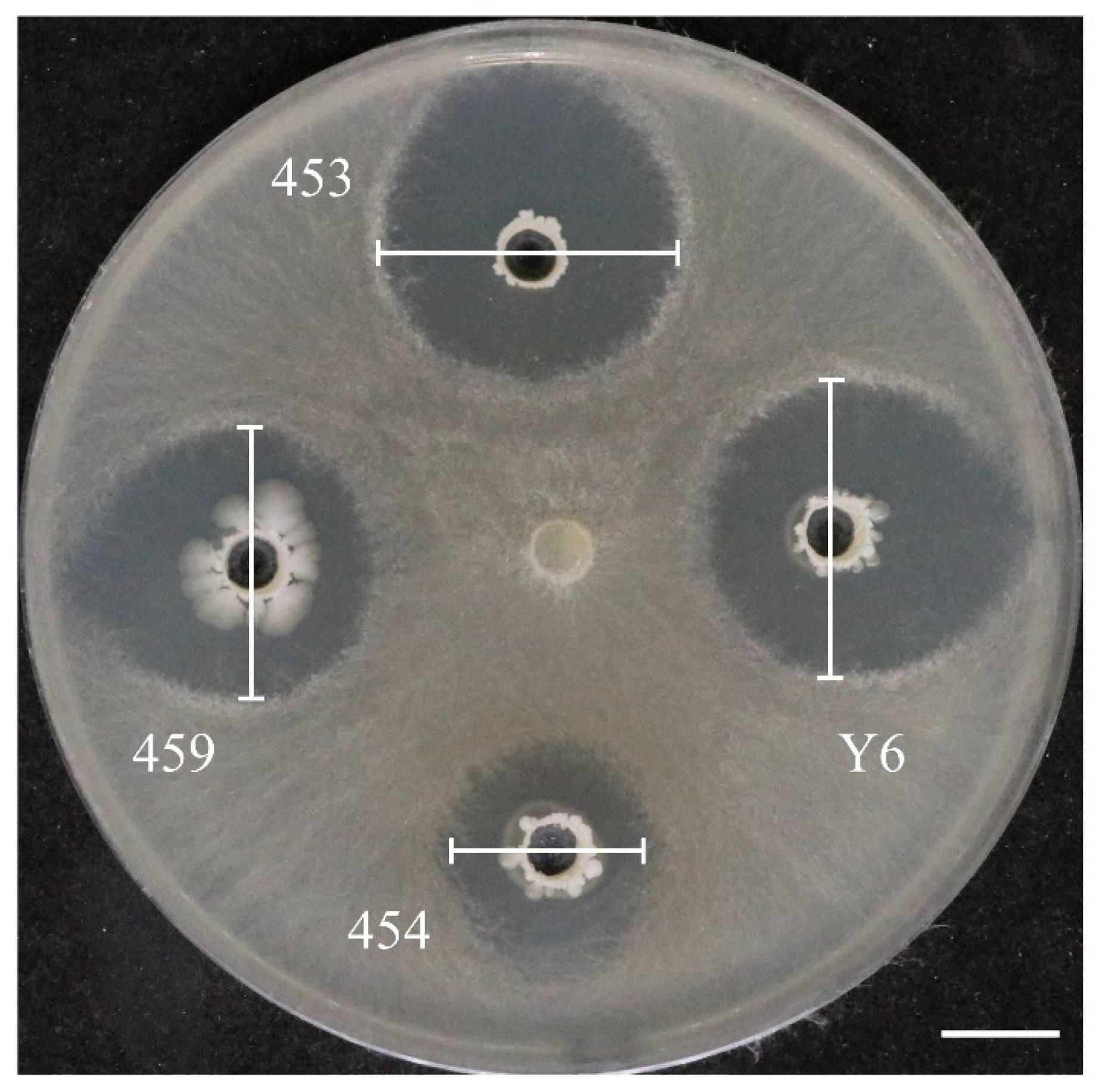 Microorganisms 12 01694 g005