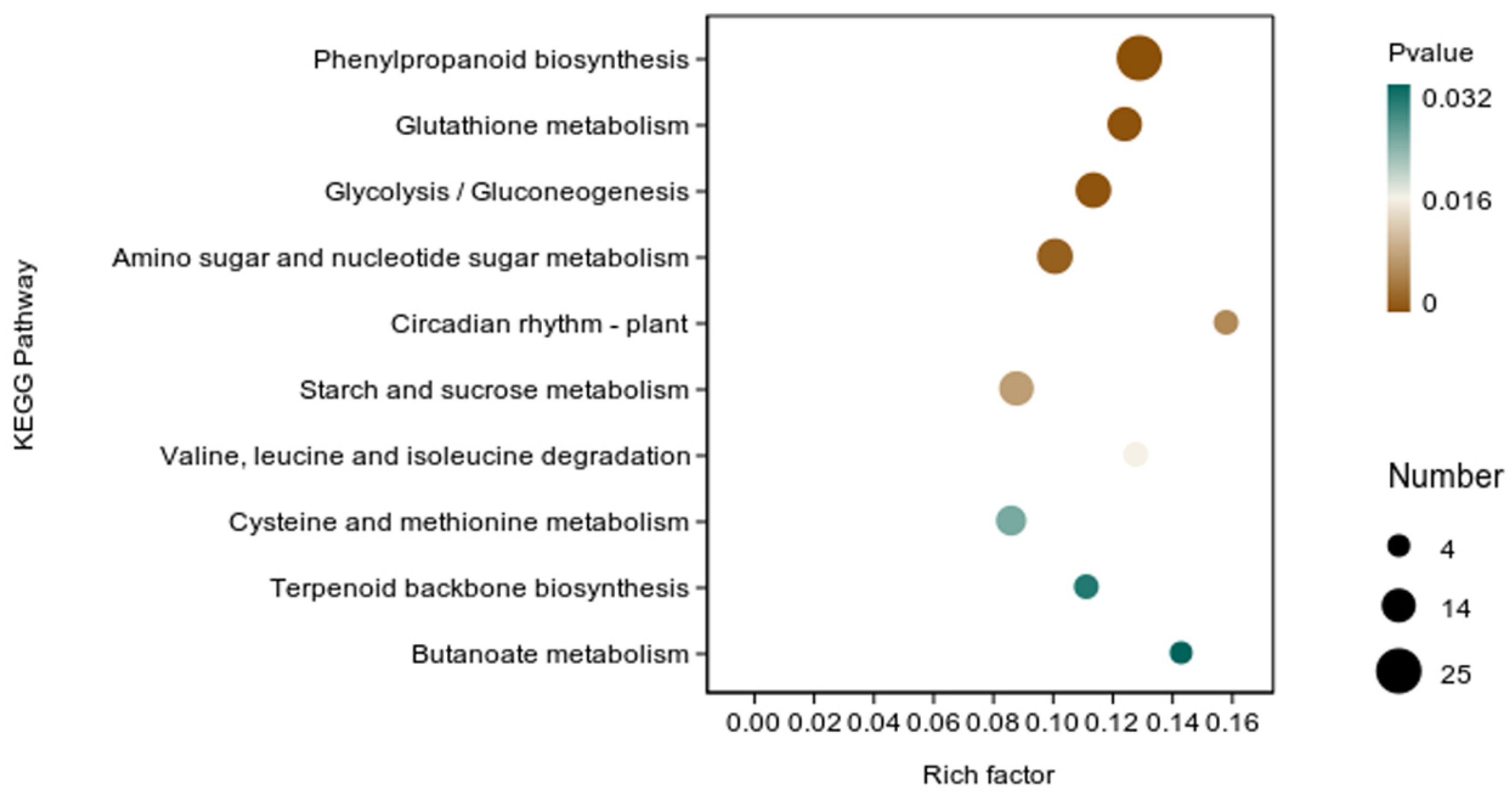 Microorganisms 12 01694 g009
