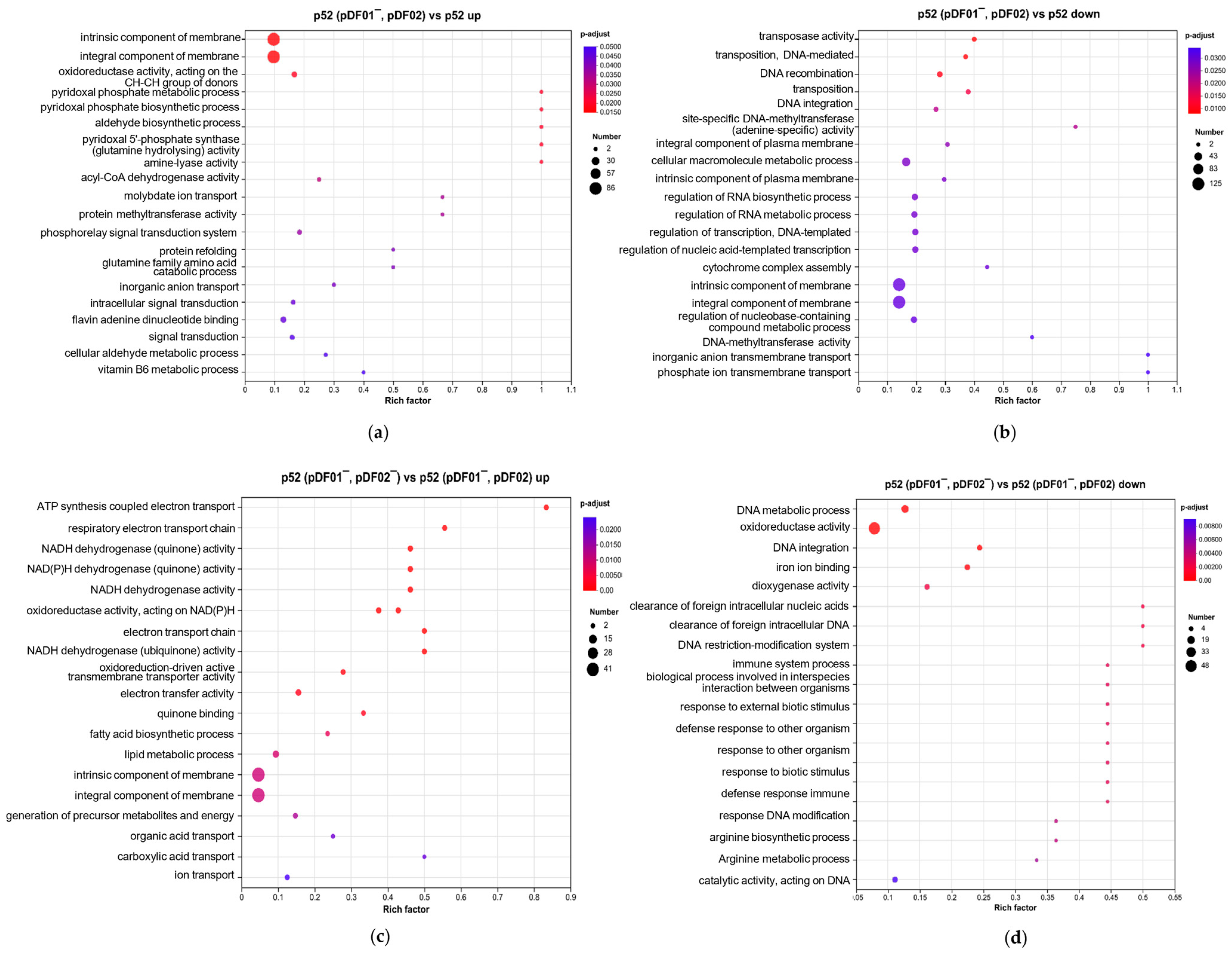 Microorganisms 12 01700 g005