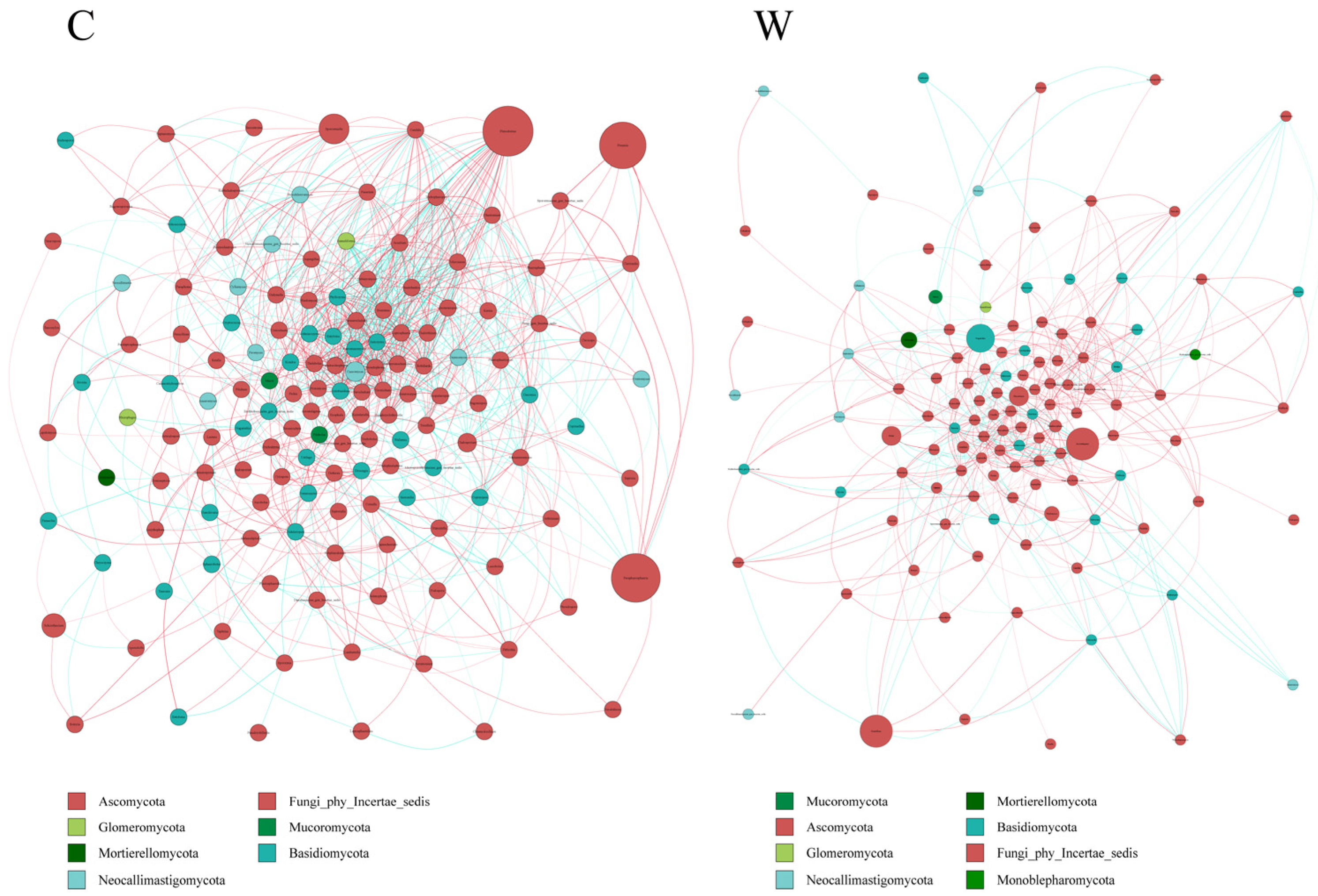 Microorganisms 12 01701 g008
