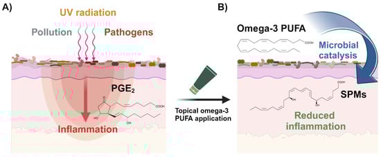 Microorganisms 12 01711 g001