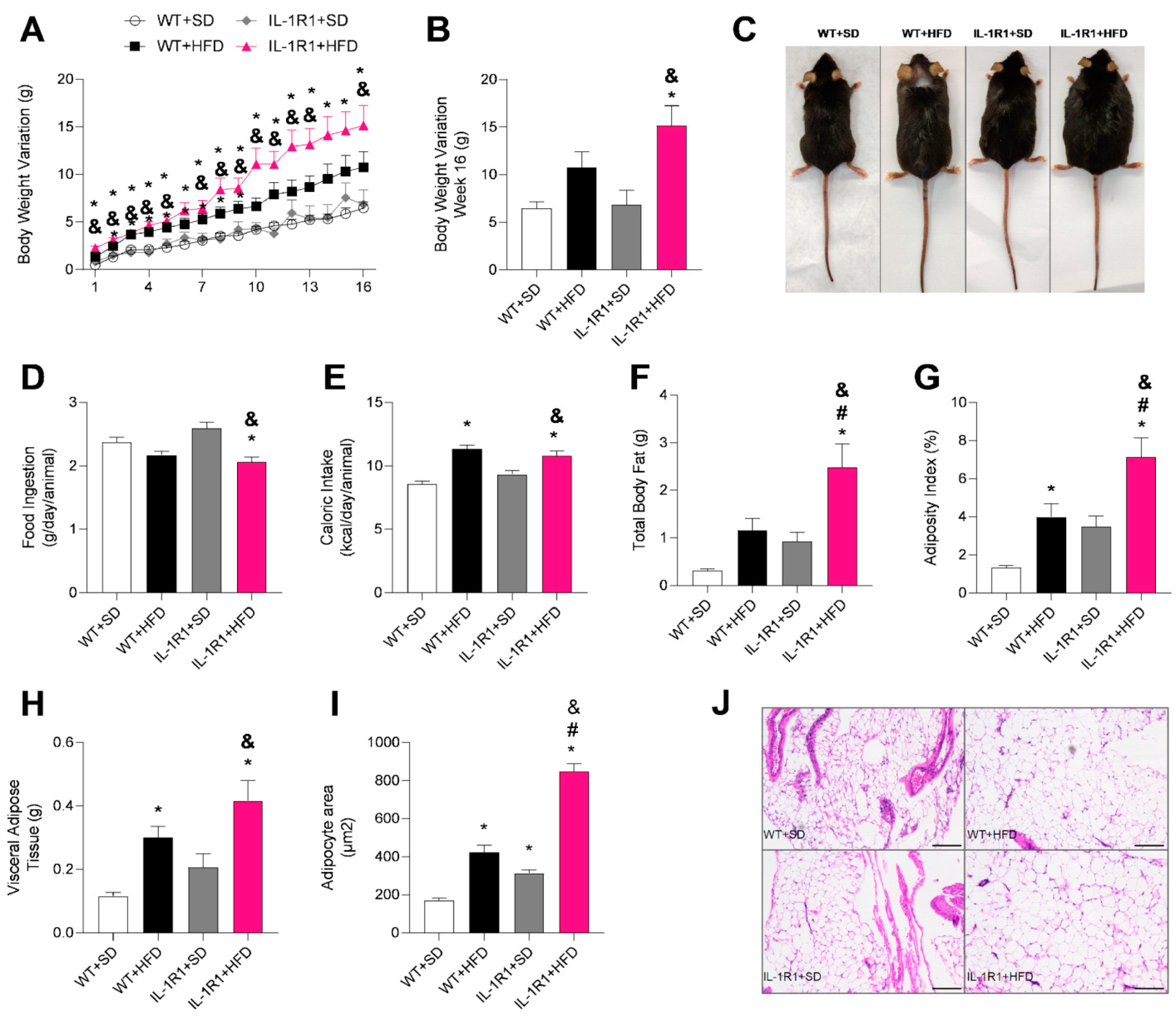 Microorganisms 12 01717 g001 Microorganisms 12 01717 g001