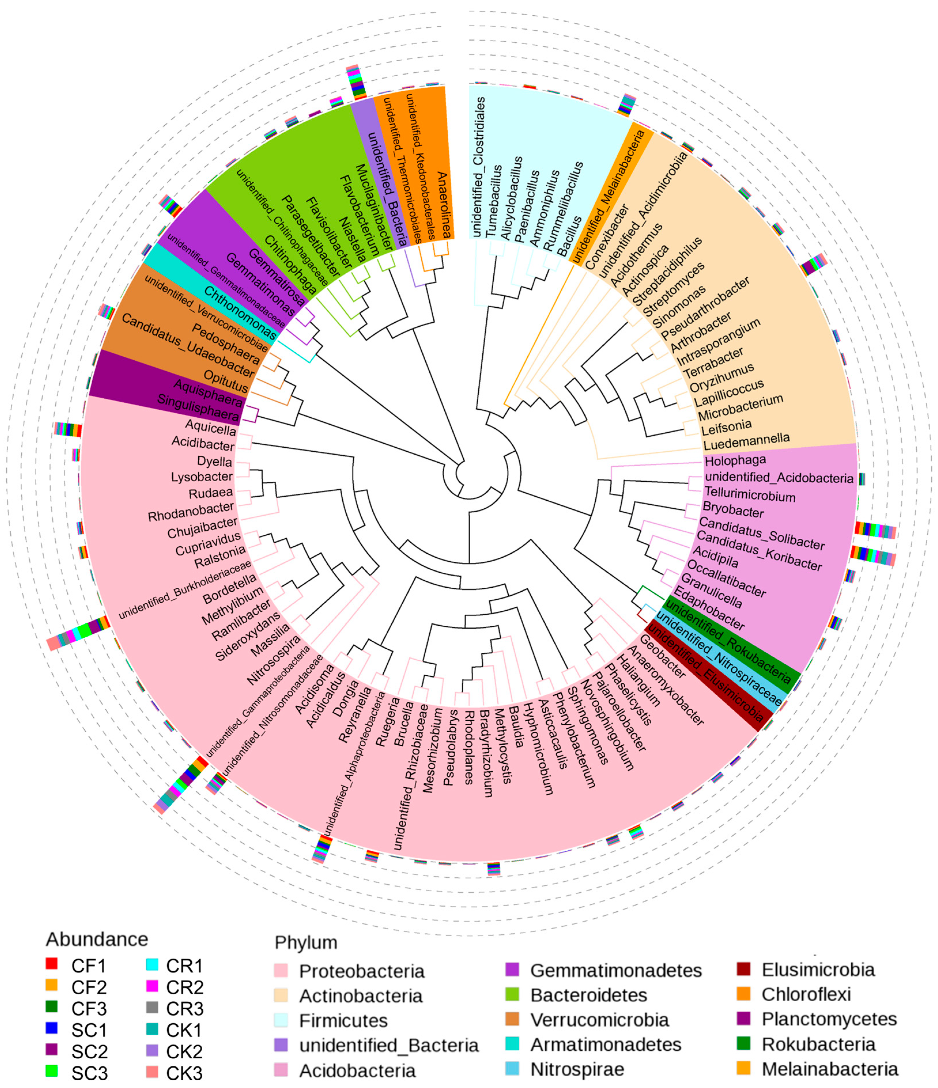 Microorganisms 12 01721 g005