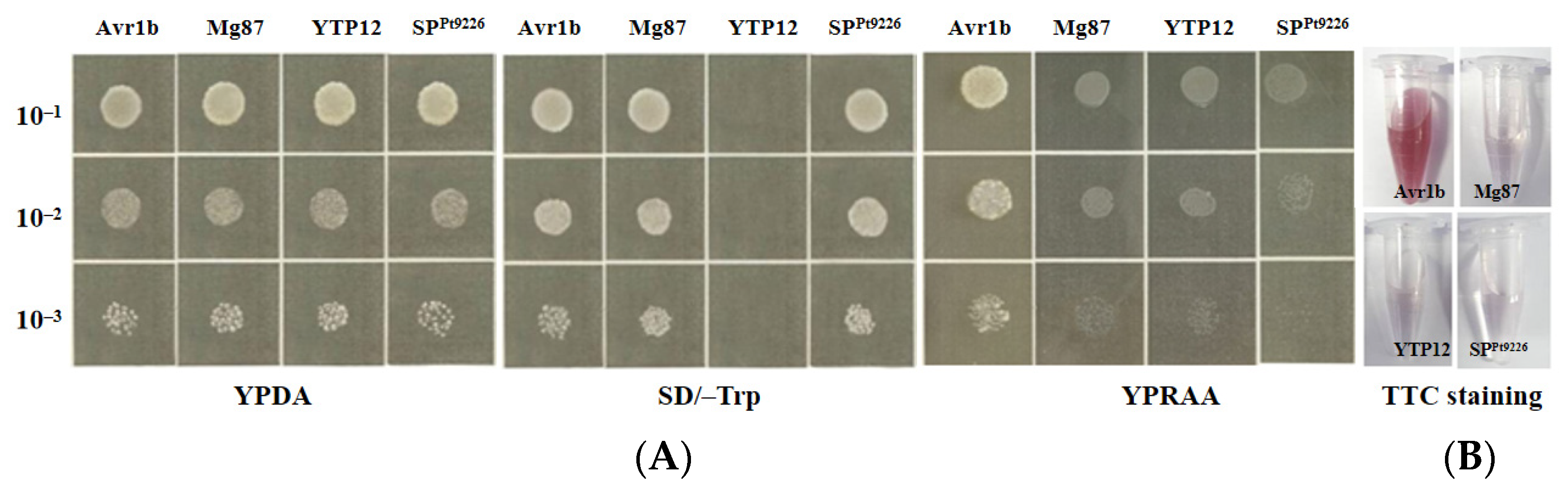 Microorganisms 12 01723 g002