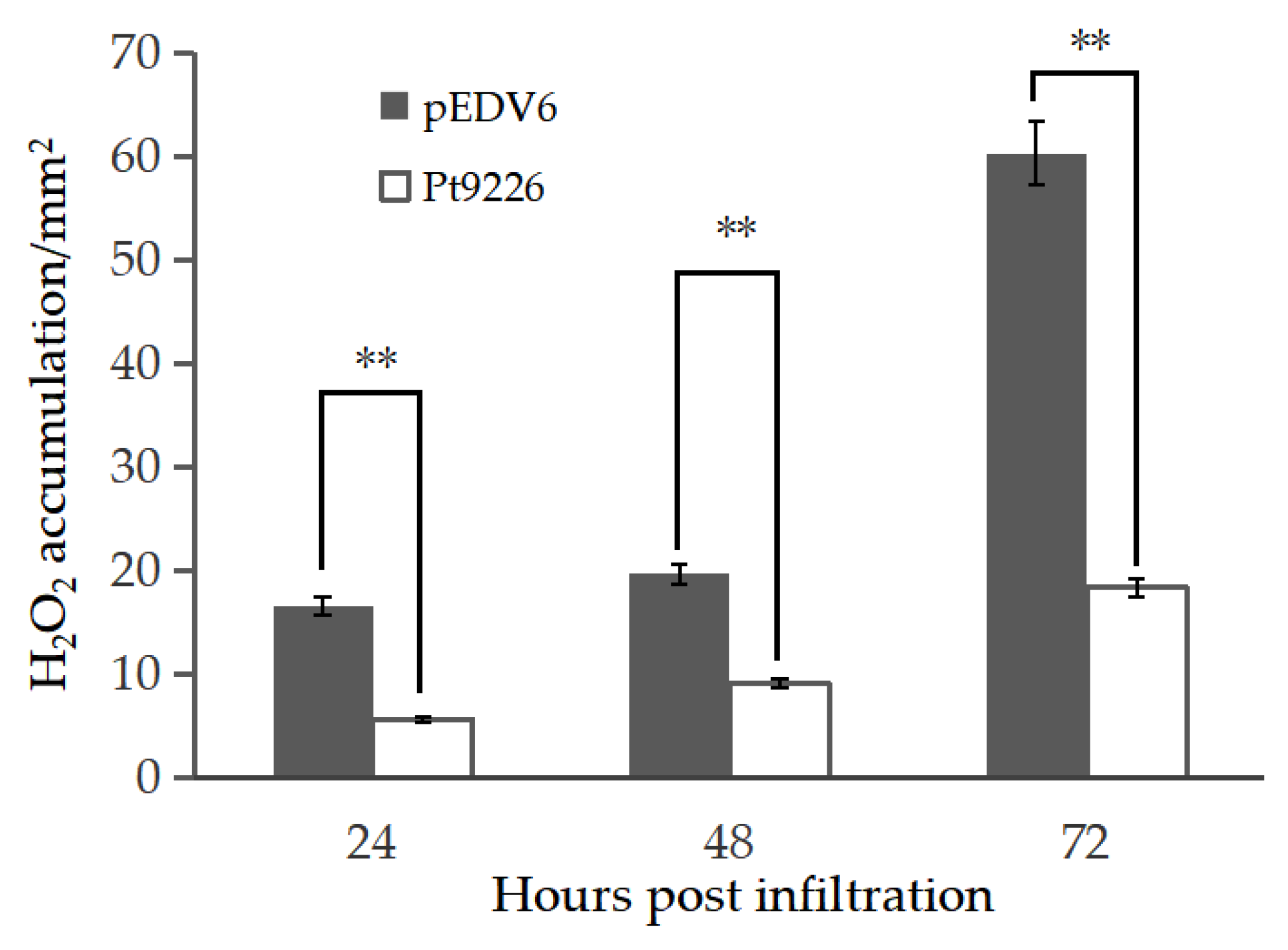 Microorganisms 12 01723 g006