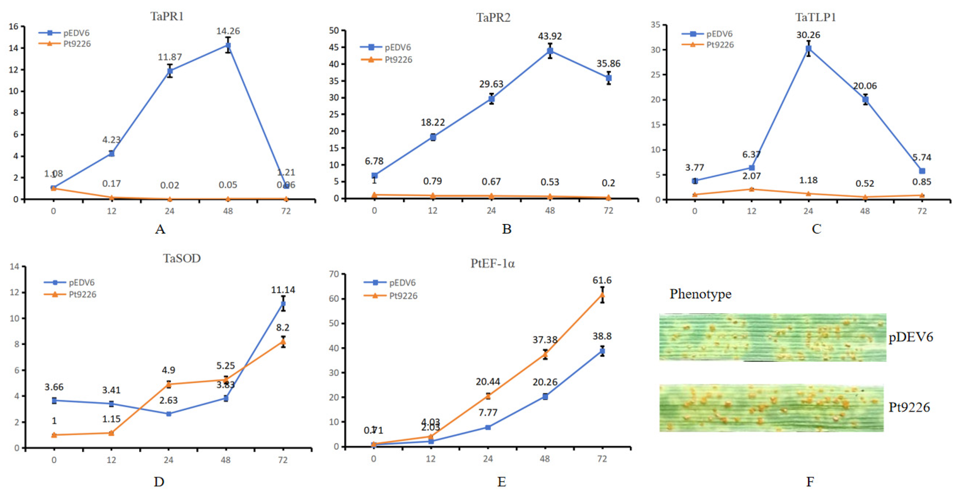 Microorganisms 12 01723 g007