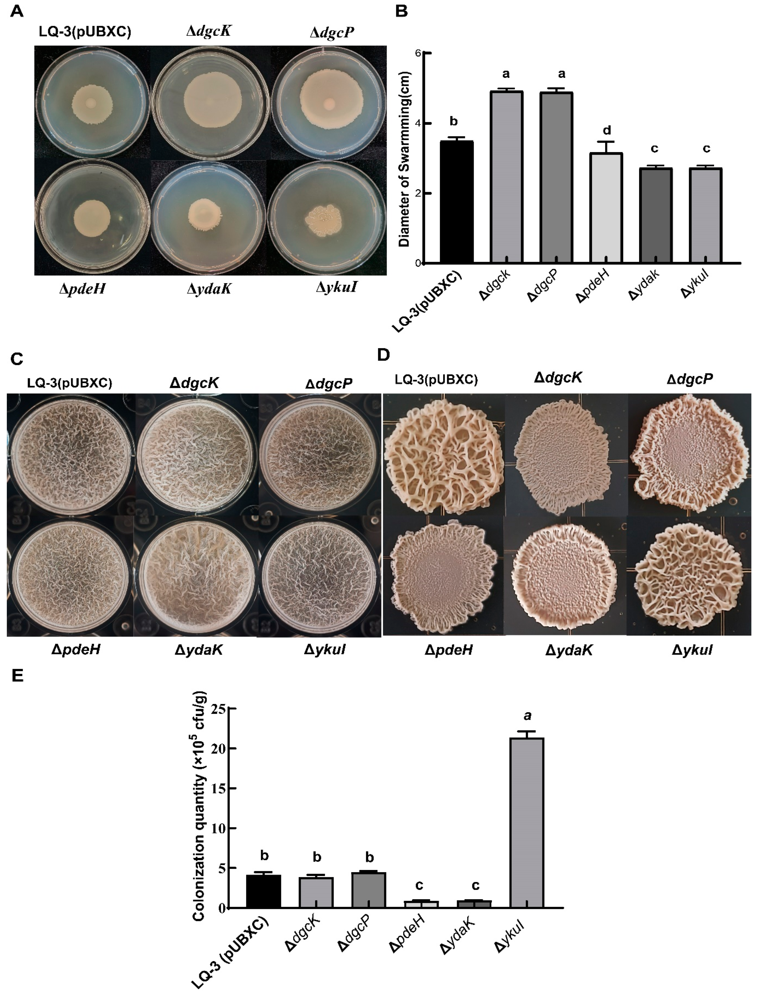 Microorganisms 12 01724 g007