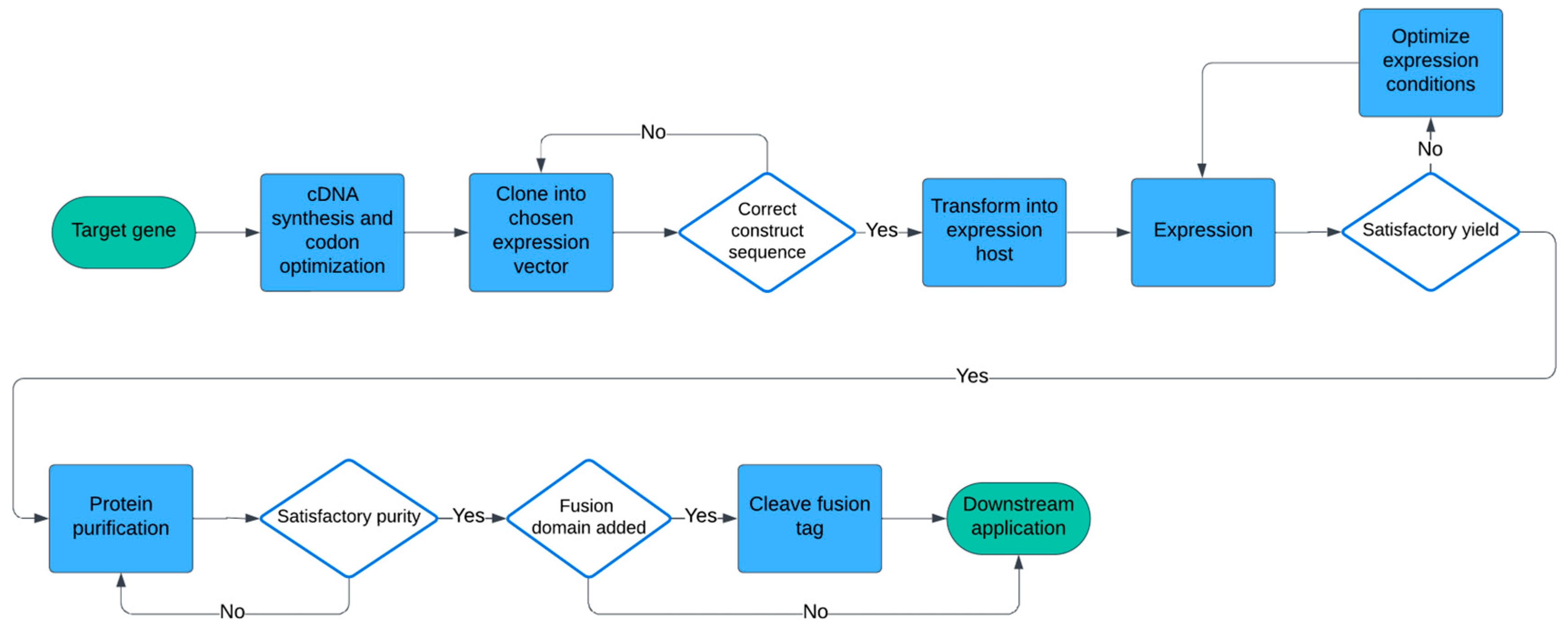 Microorganisms 12 01731 g001
