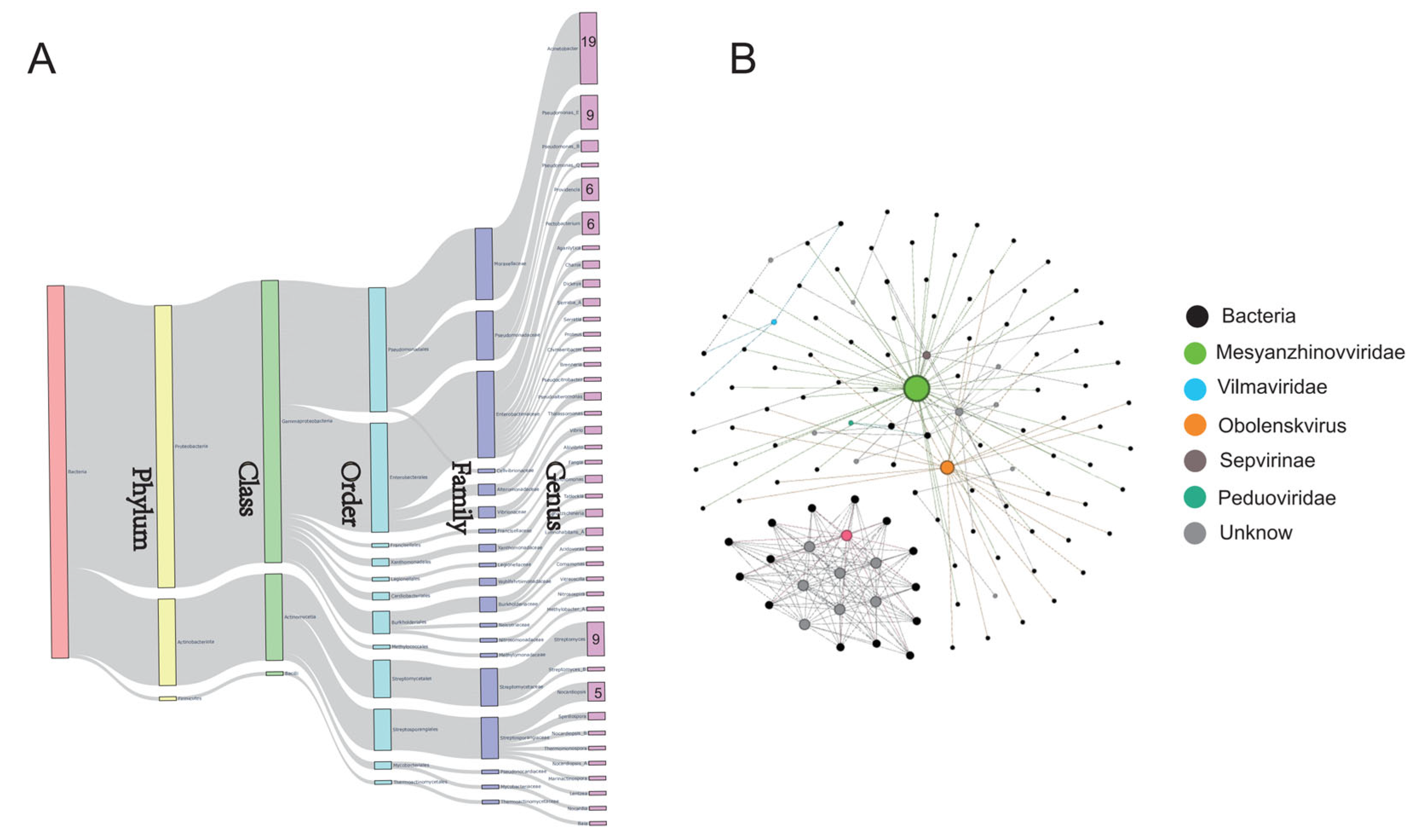 Microorganisms 12 01736 g003