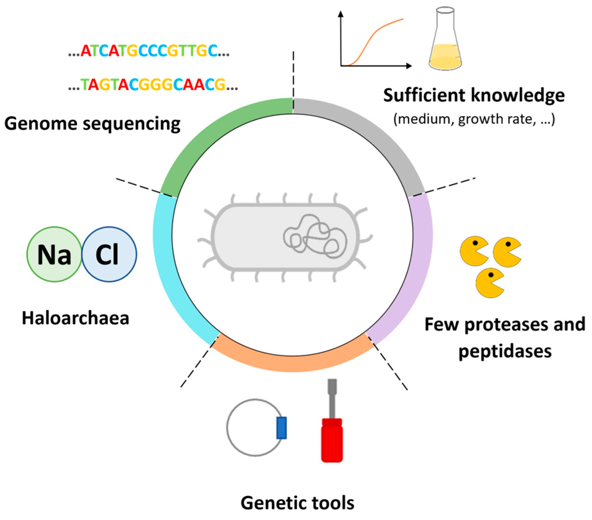 Microorganisms 12 01738 g002 Microorganisms 12 01738 g002