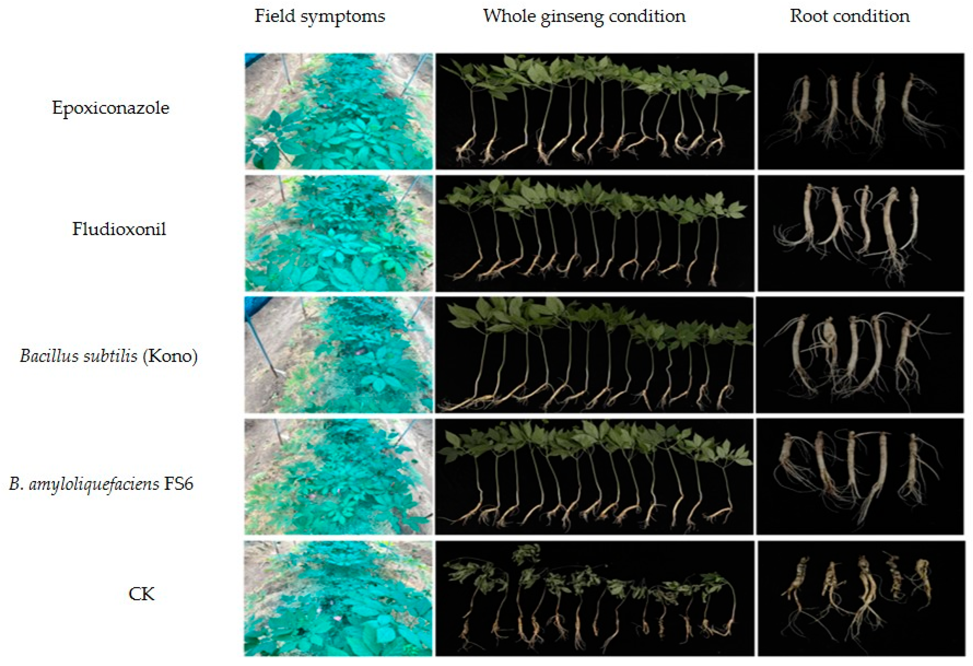 Microorganisms 12 01761 g003