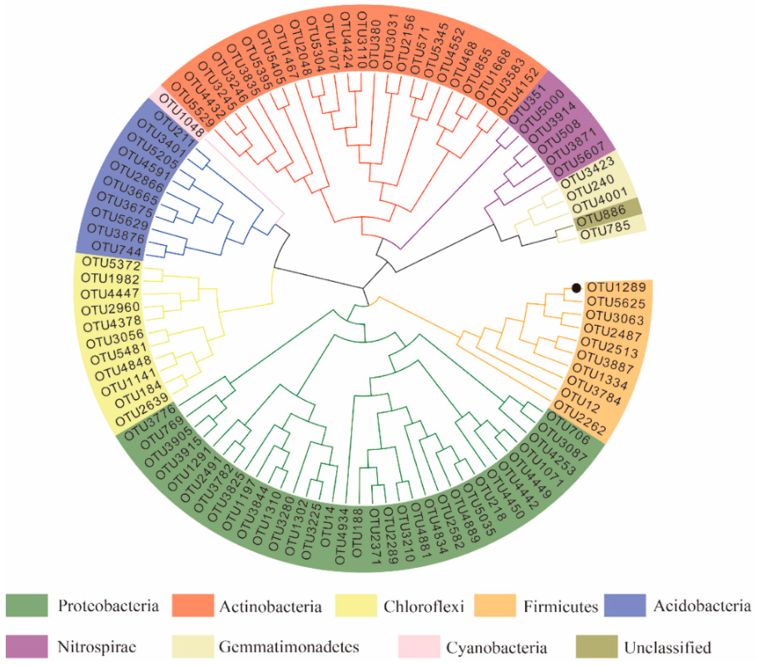 Microorganisms 12 01763 g004