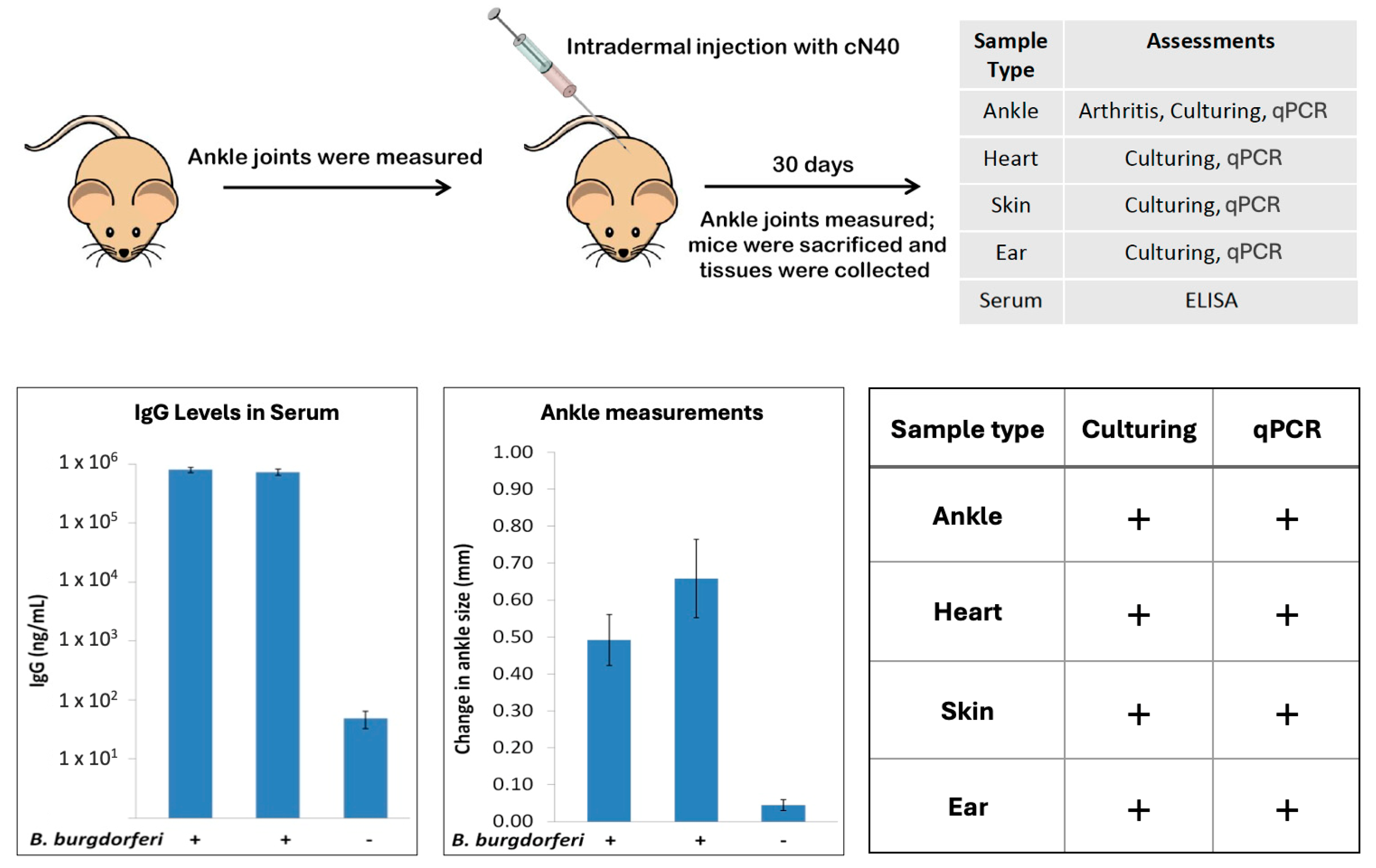 Microorganisms 12 01766 g001