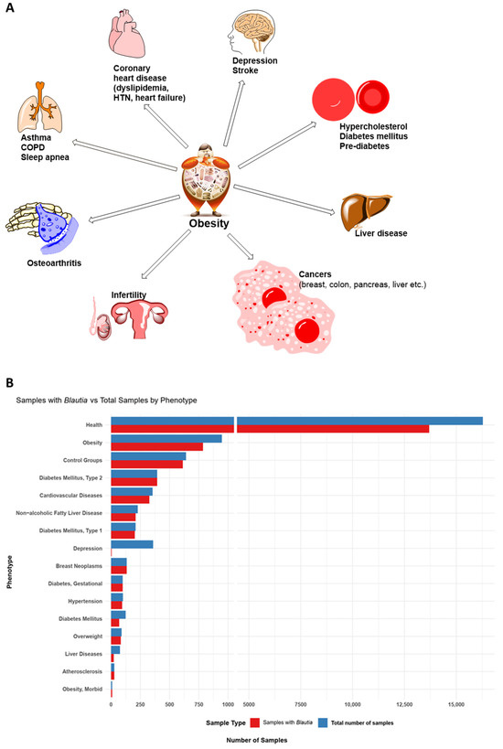 Microorganisms 12 01768 g001