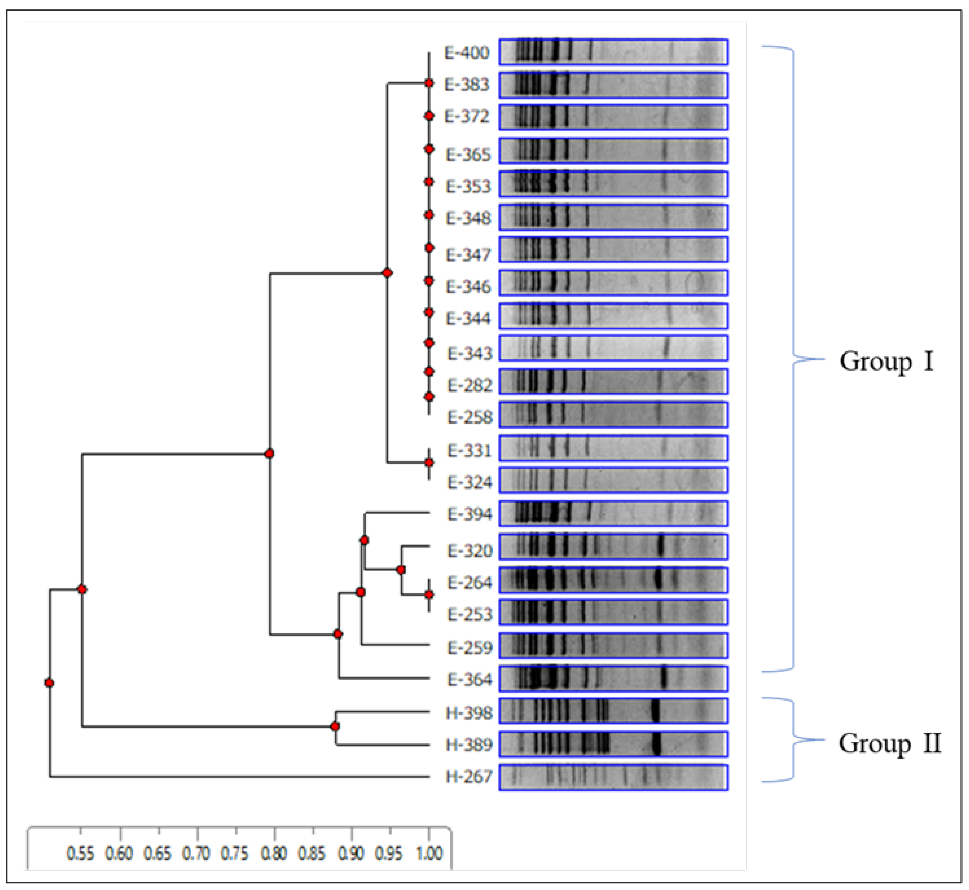 Microorganisms 12 01769 g003 Microorganisms 12 01769 g003