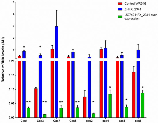 Microorganisms 12 01772 g004