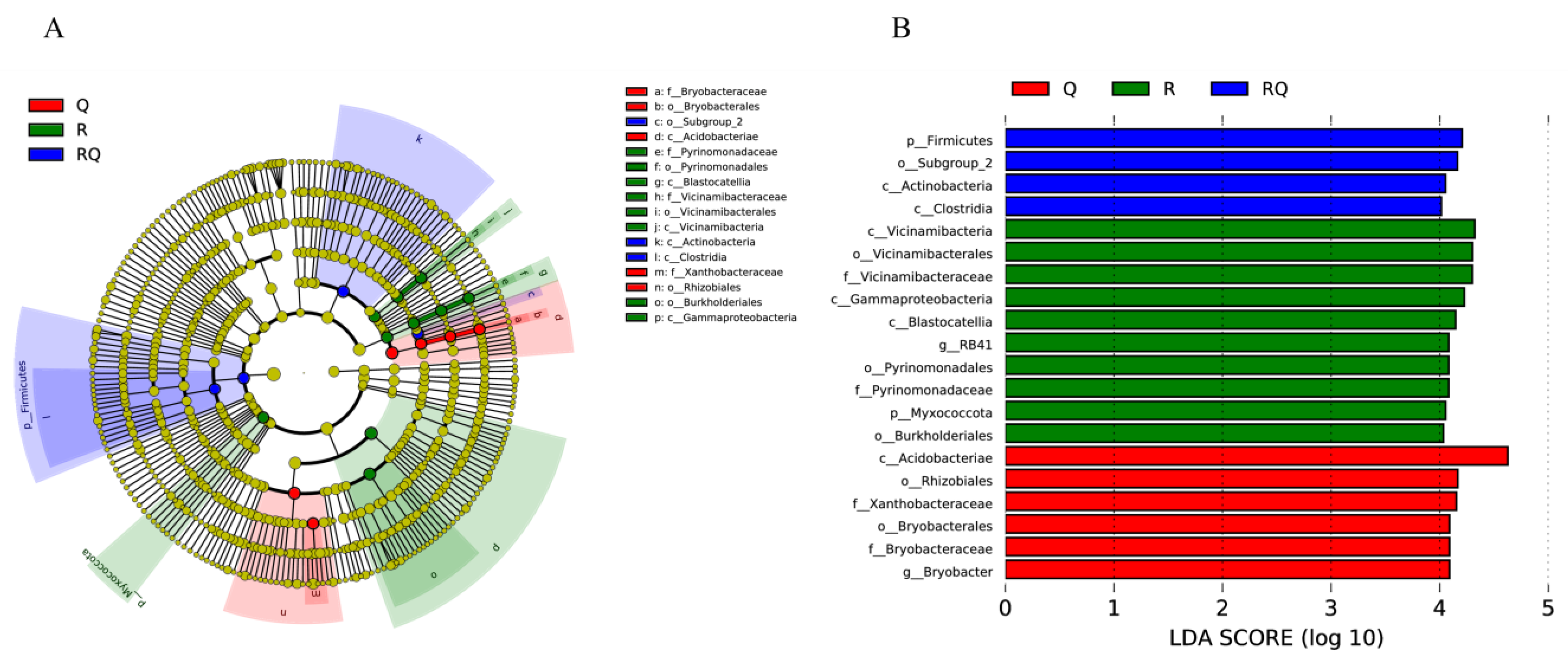Microorganisms 12 01773 g007 Microorganisms 12 01773 g007
