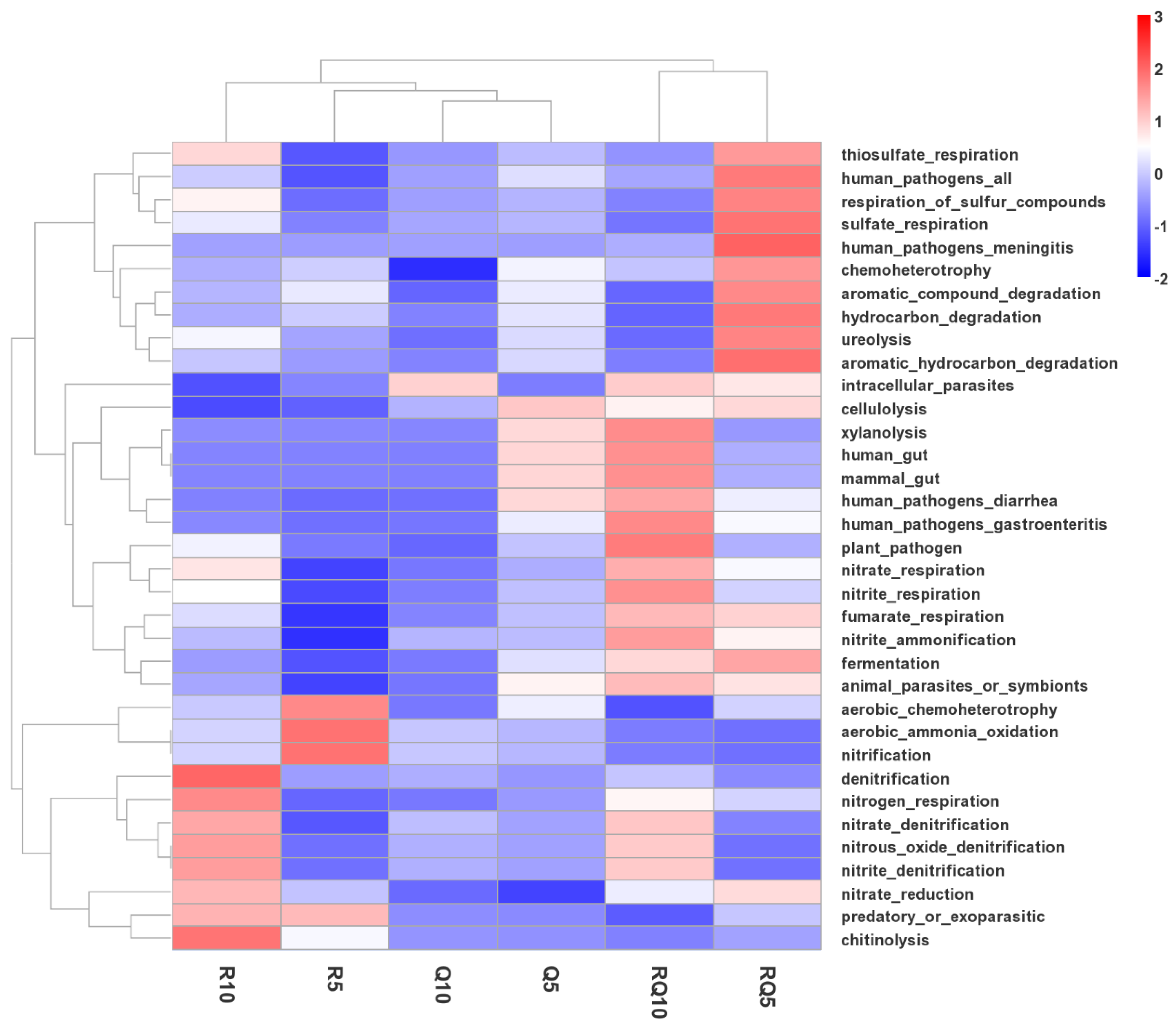Microorganisms 12 01773 g008 Microorganisms 12 01773 g008