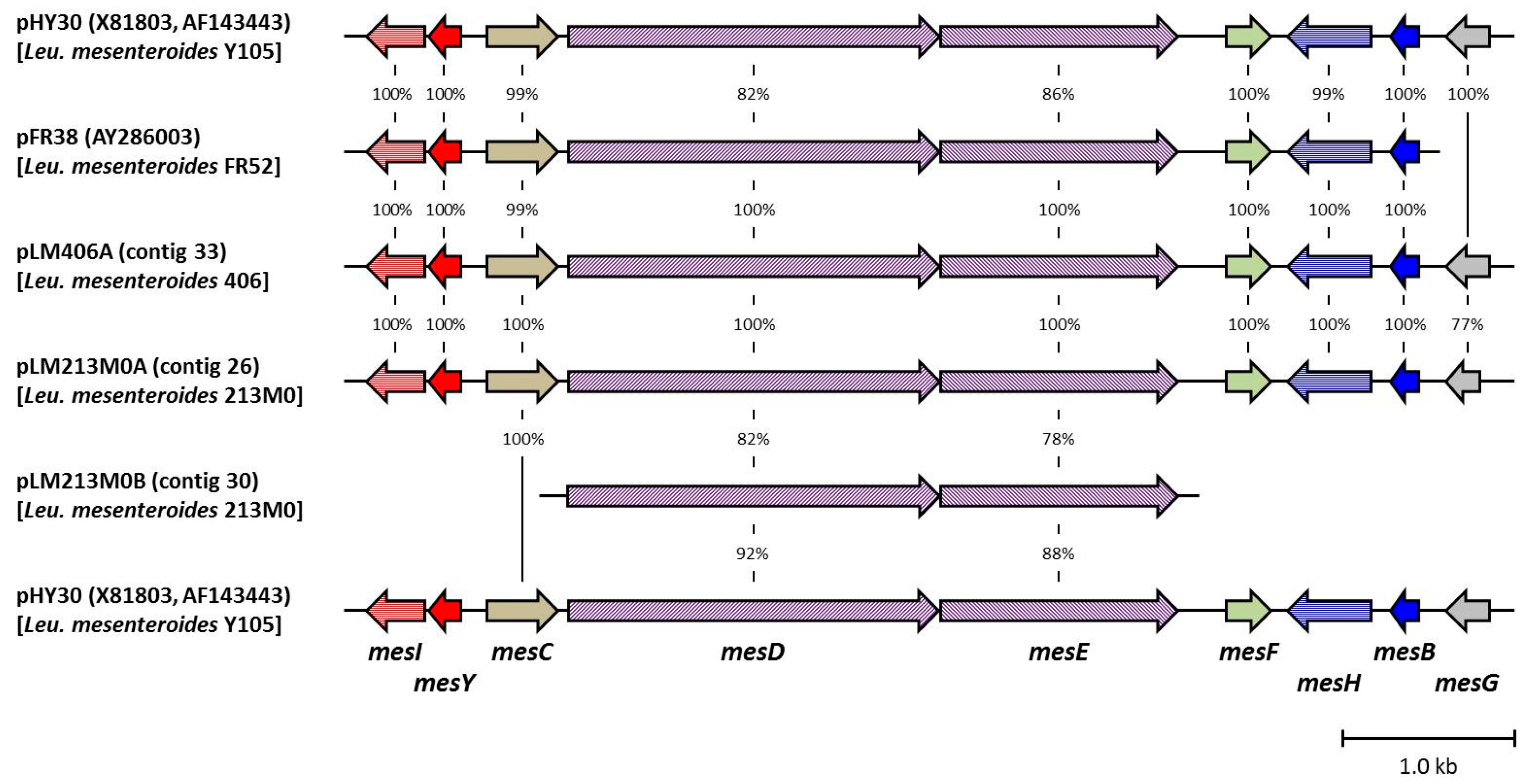 Microorganisms 12 01781 g002