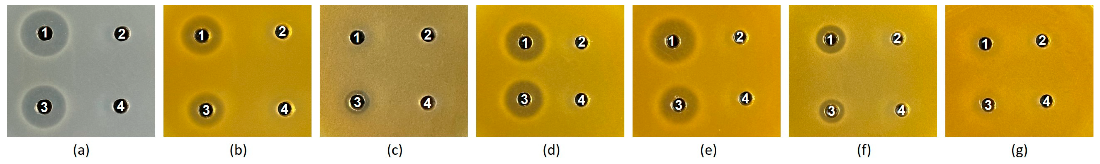 Microorganisms 12 01781 g003