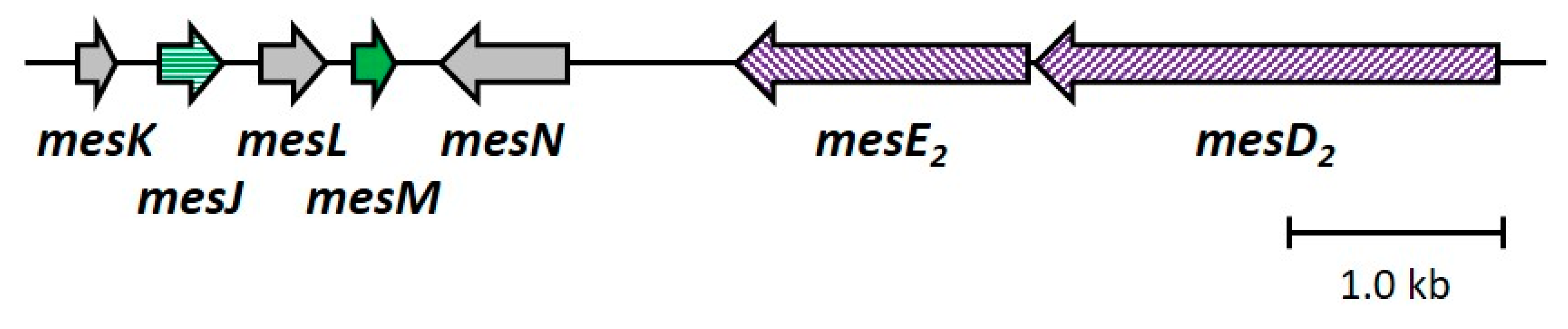 Microorganisms 12 01781 g007