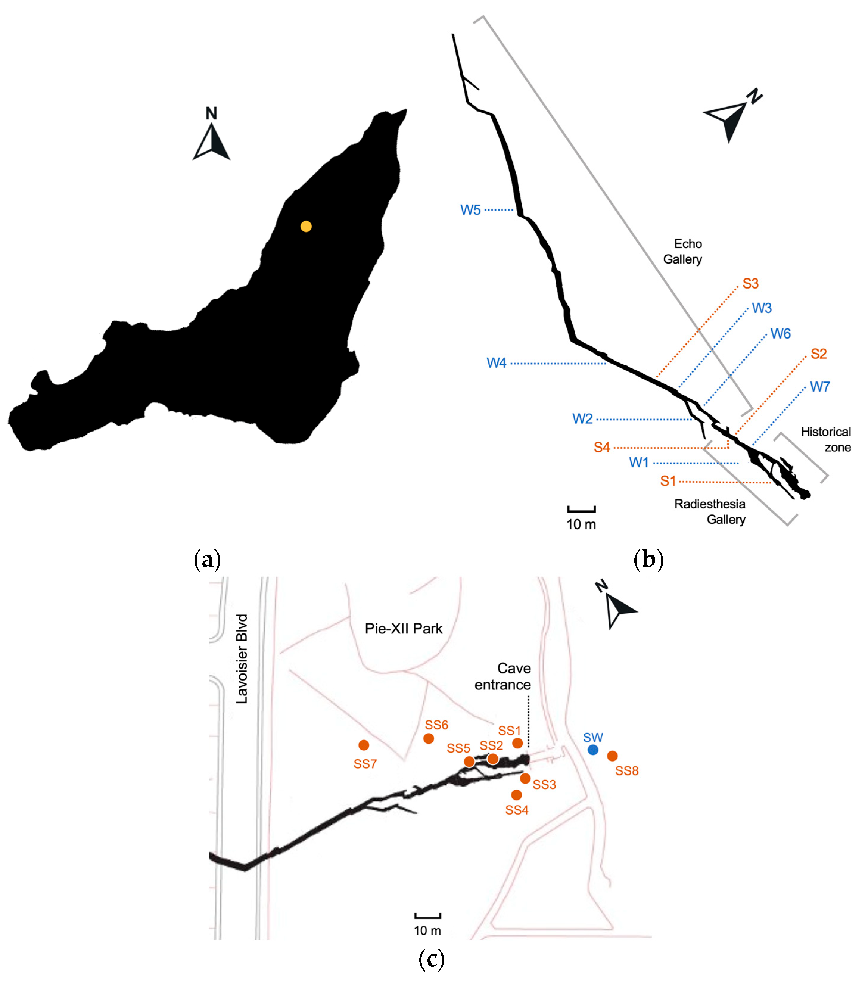 Microorganisms 12 01791 g001