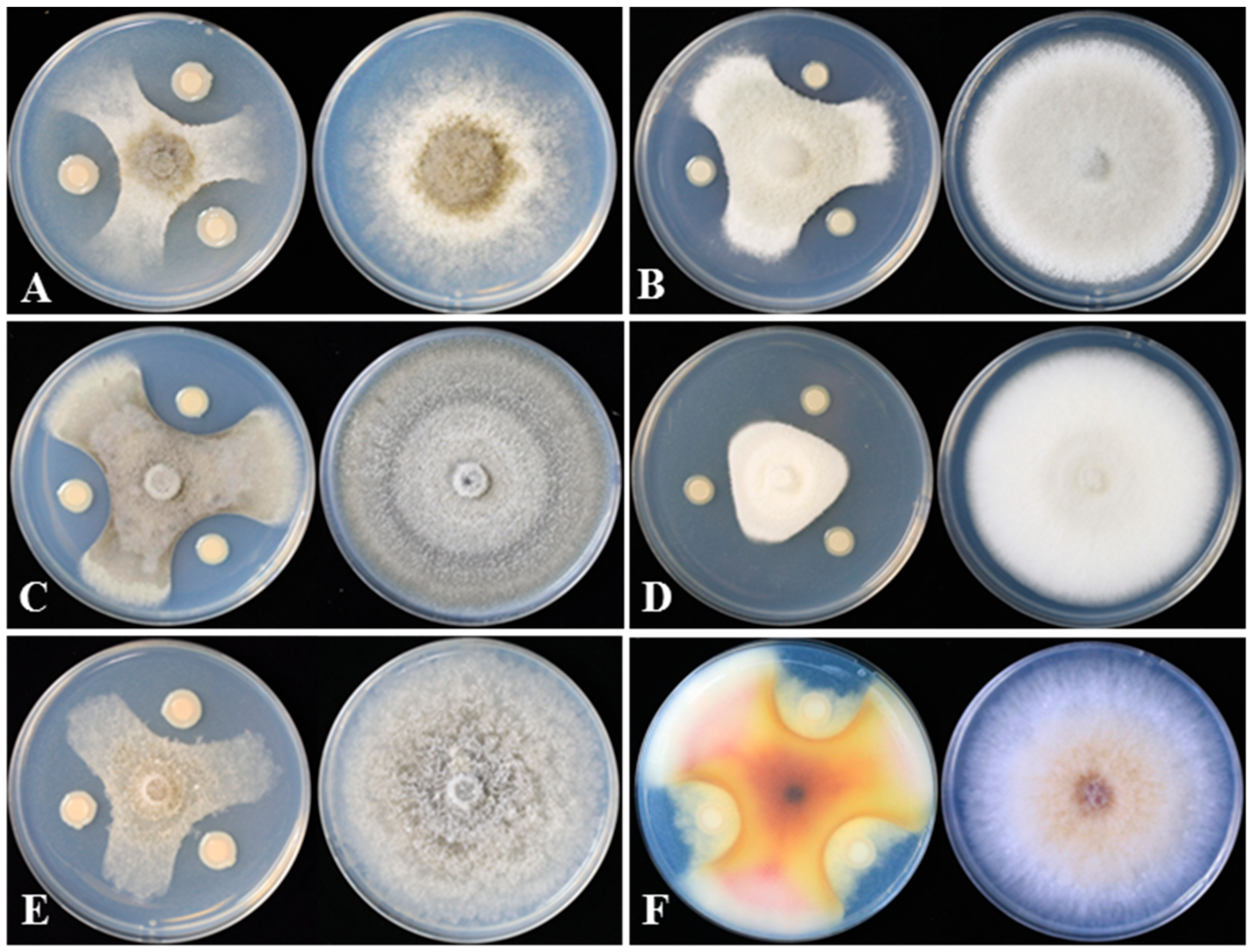 Microorganisms 12 01793 g002