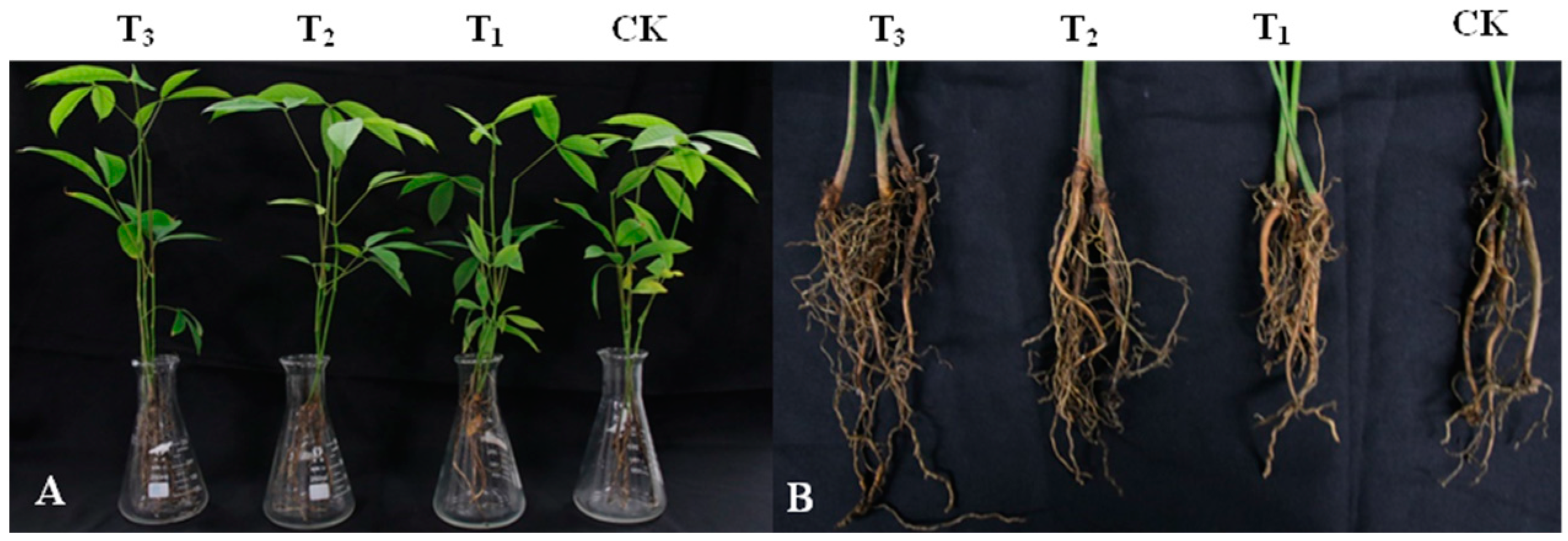 Microorganisms 12 01793 g004