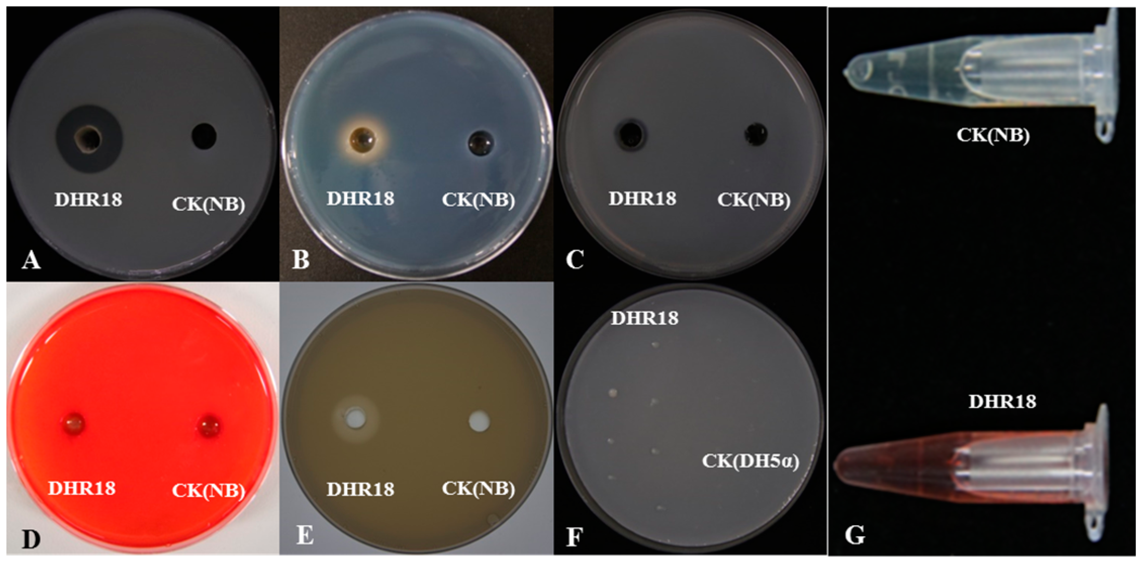 Microorganisms 12 01793 g005