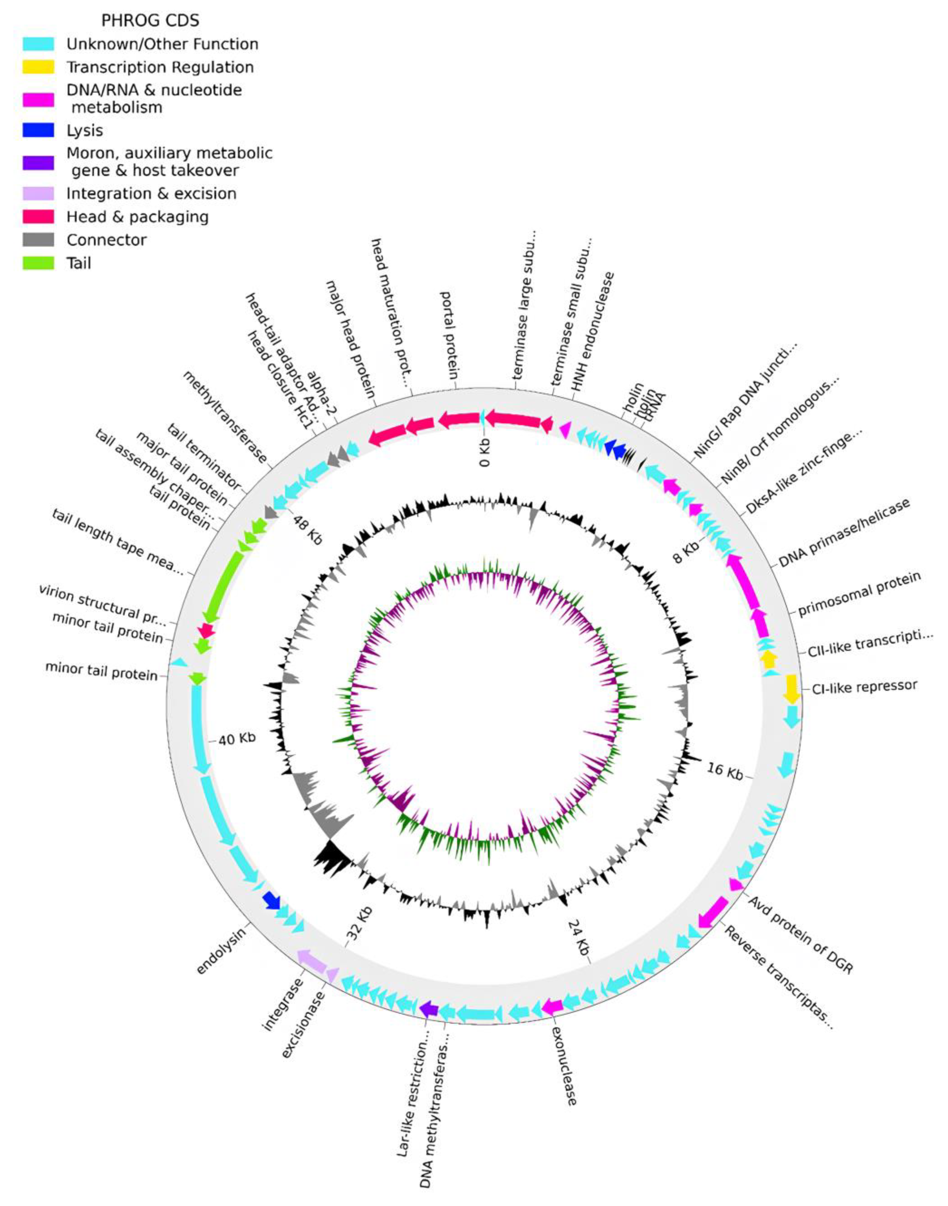 Microorganisms 12 01795 g003