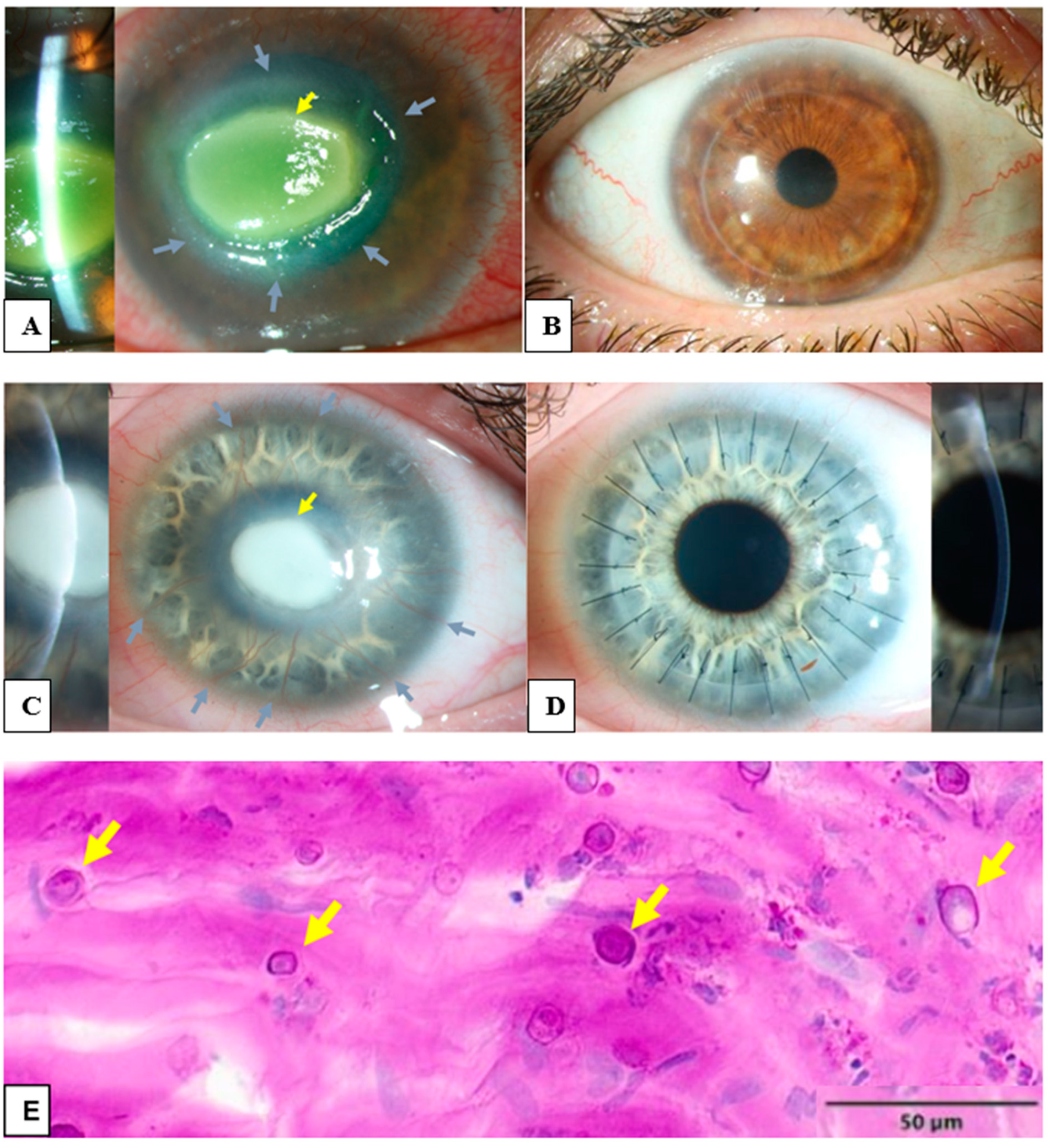 Microorganisms 12 01801 g001 Microorganisms 12 01801 g001