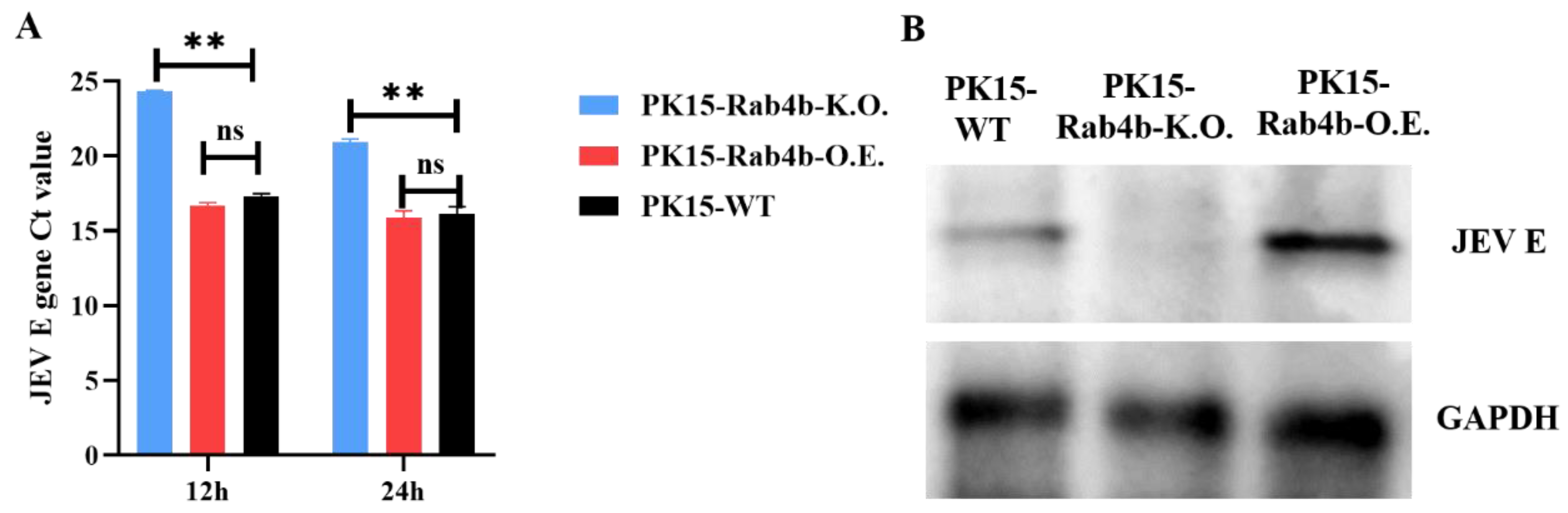 Microorganisms 12 01804 g002
