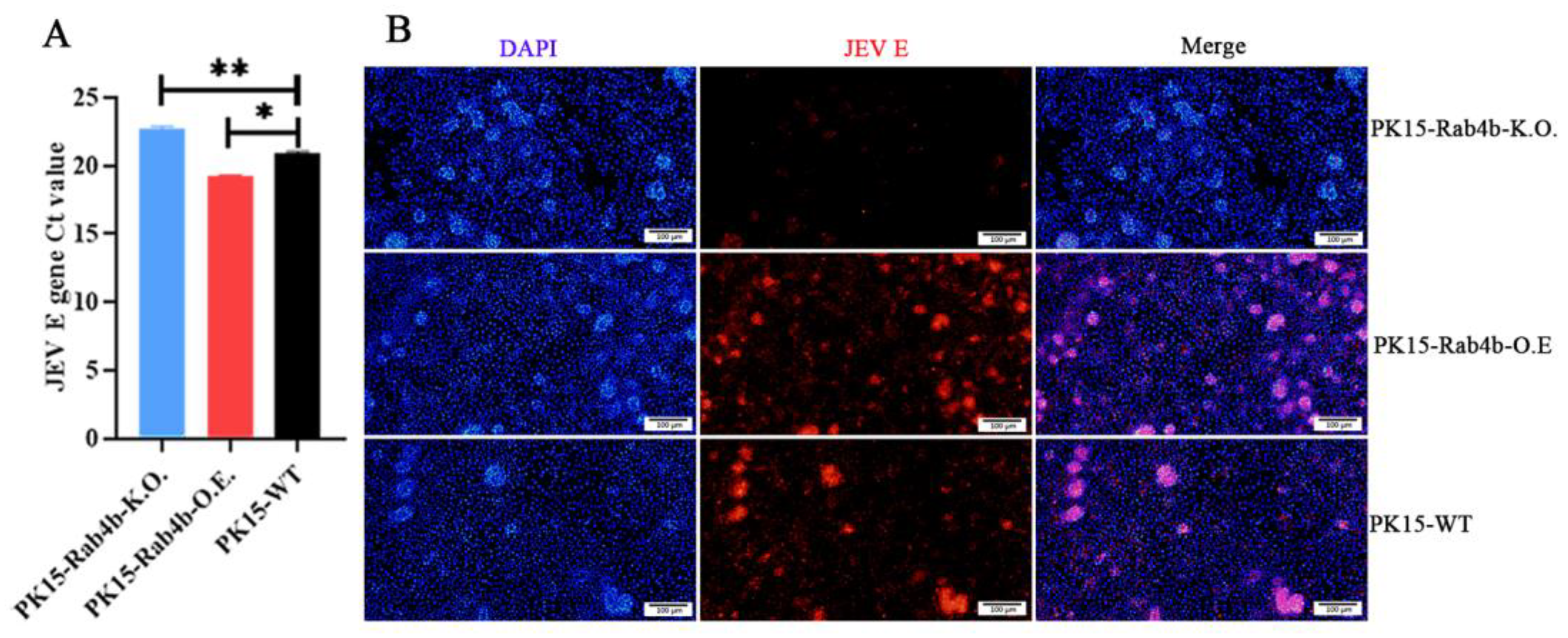 Microorganisms 12 01804 g003