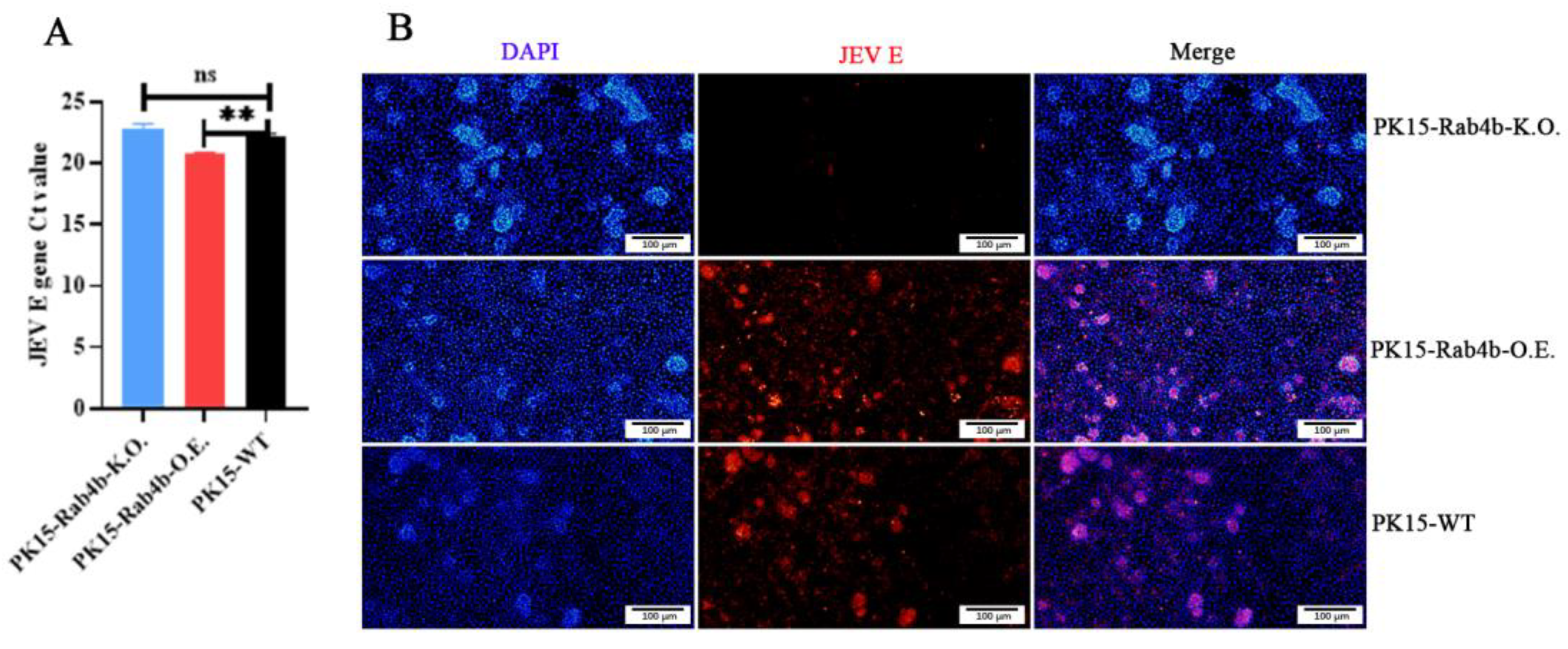 Microorganisms 12 01804 g004
