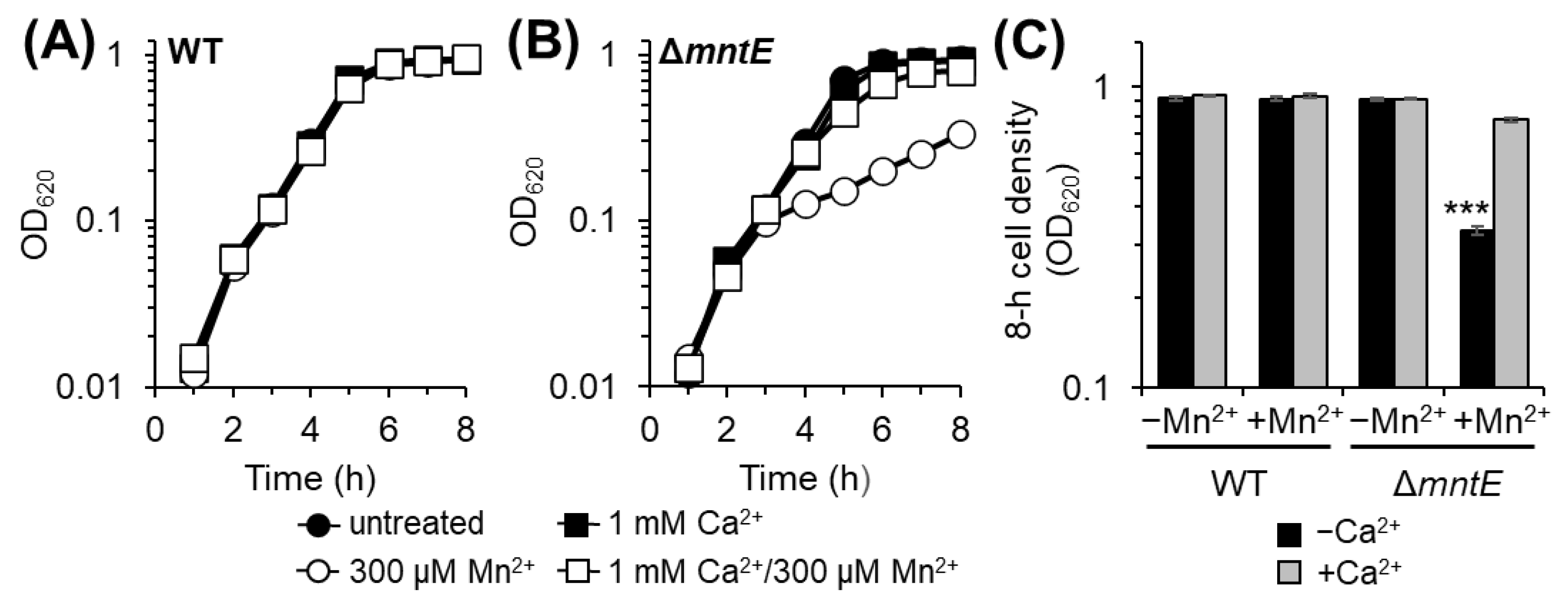 Microorganisms 12 01810 g001 Microorganisms 12 01810 g001