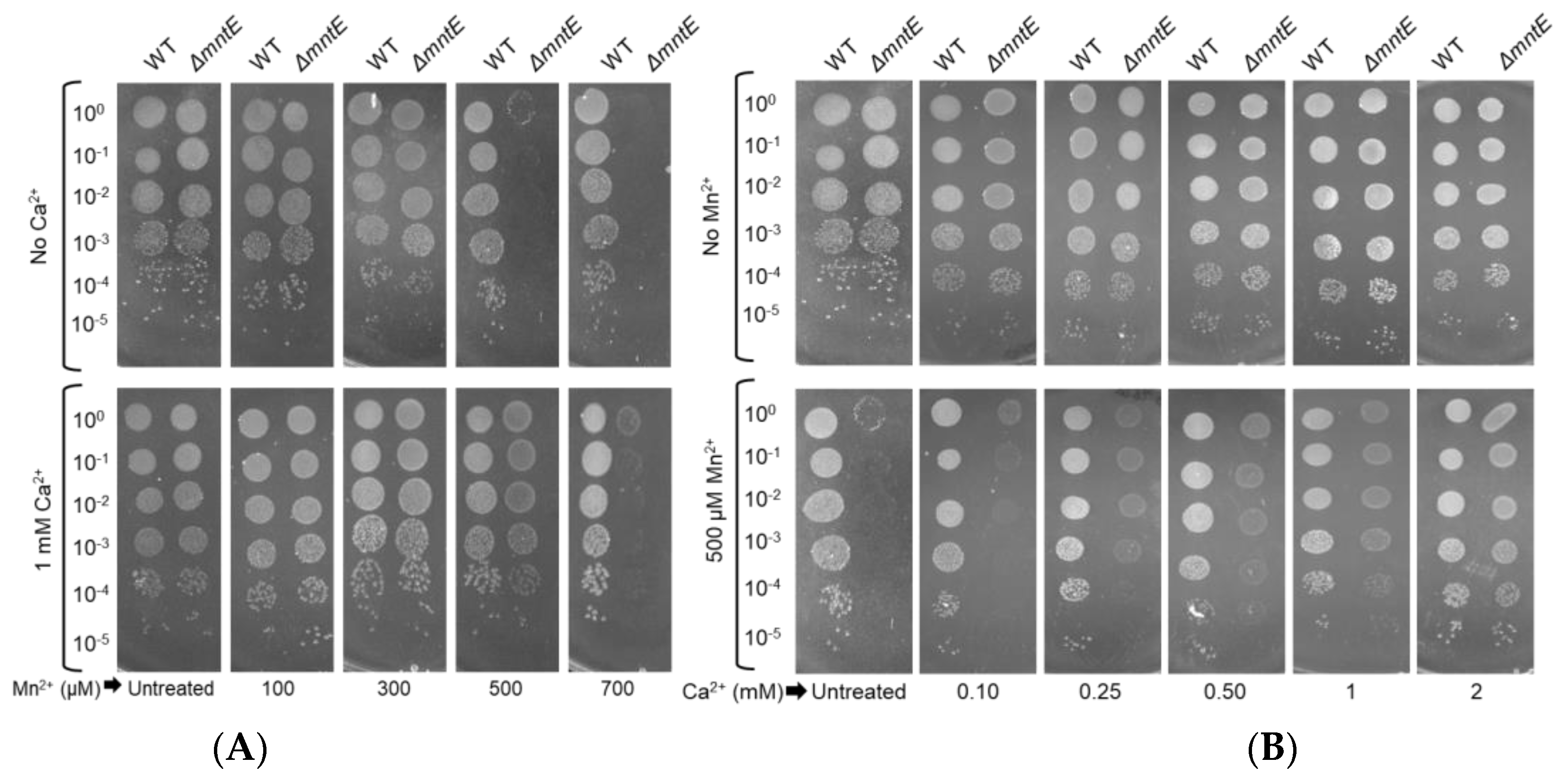 Microorganisms 12 01810 g002 Microorganisms 12 01810 g002