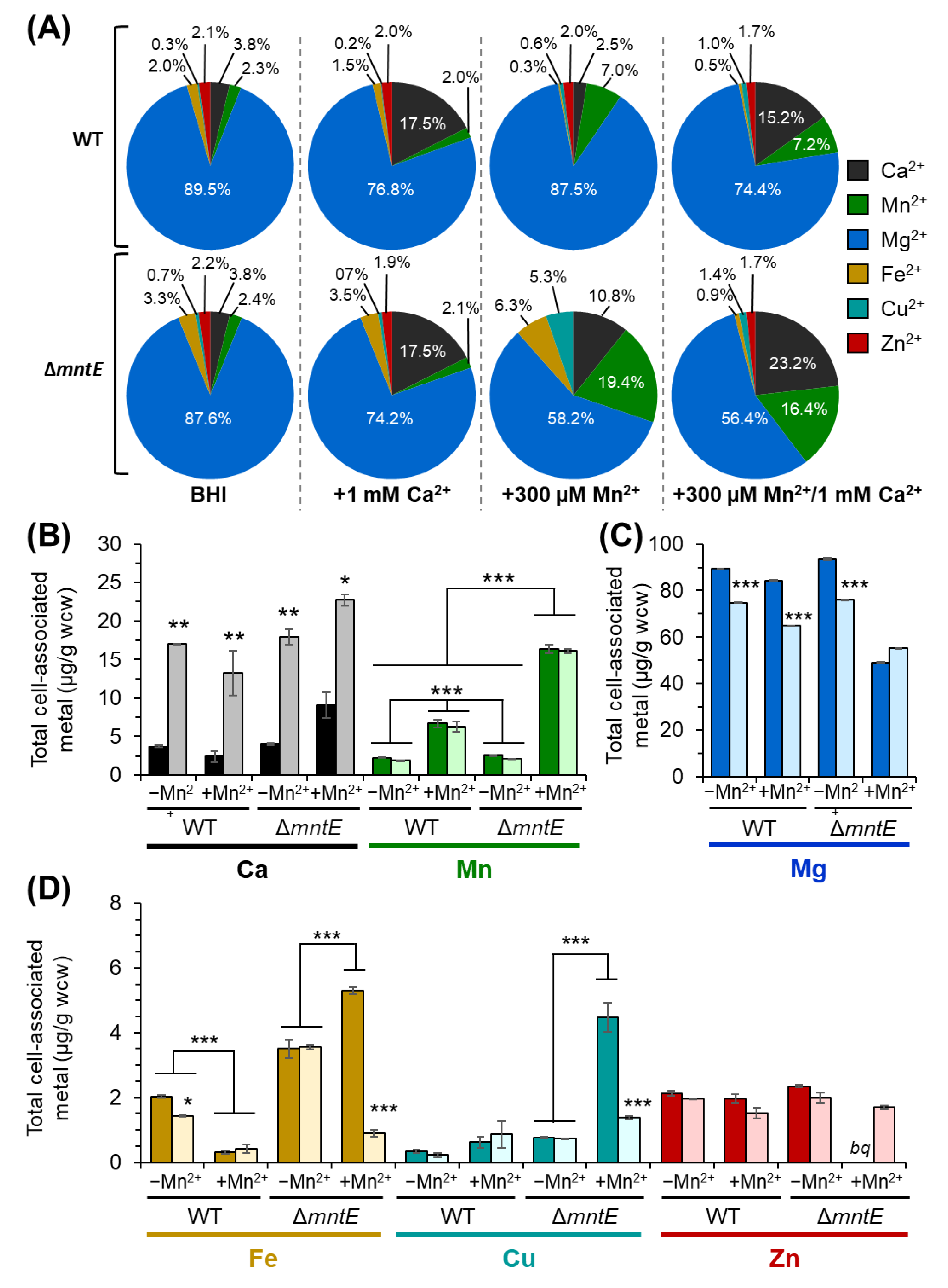 Microorganisms 12 01810 g004 Microorganisms 12 01810 g004