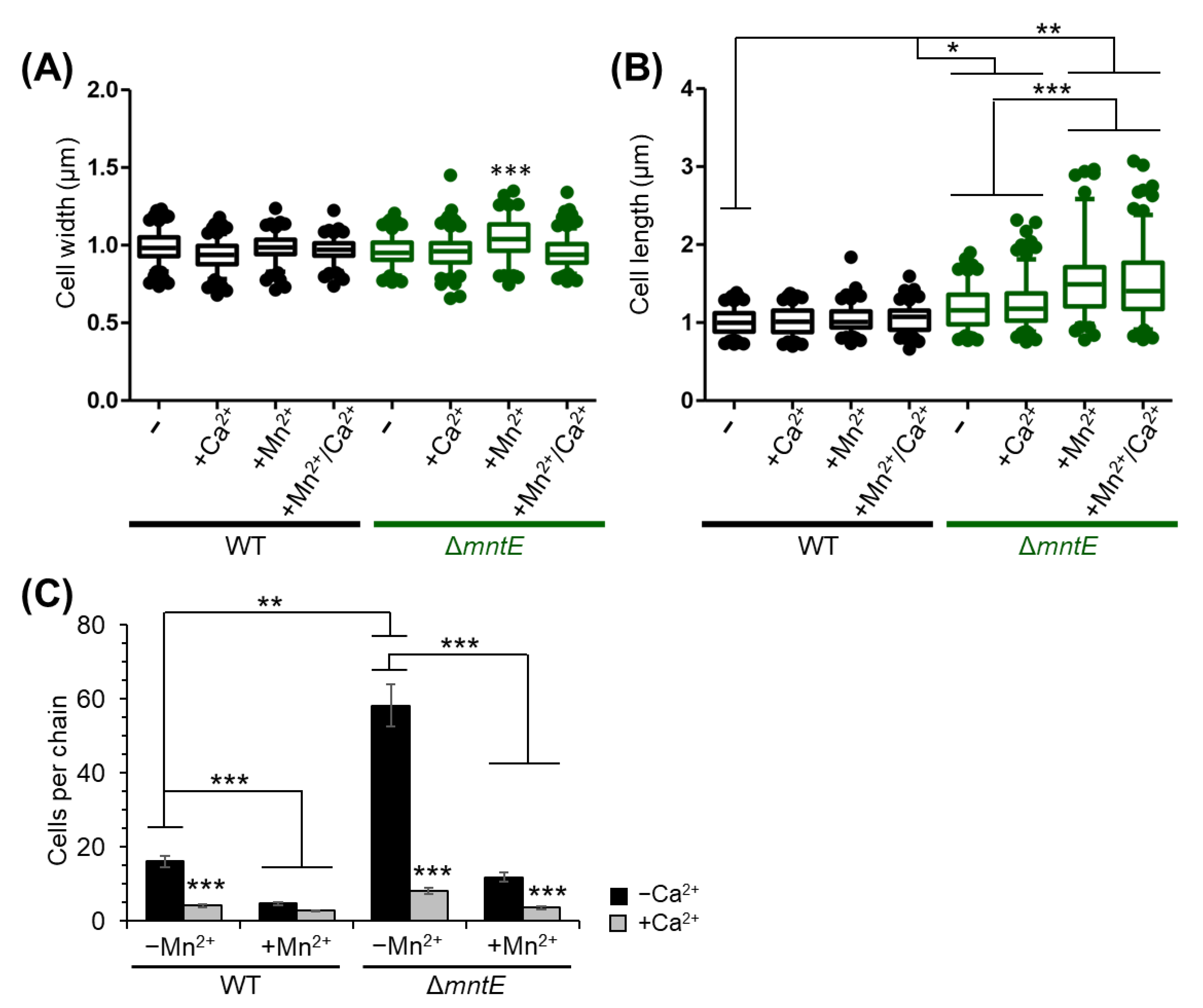 Microorganisms 12 01810 g008 Microorganisms 12 01810 g008