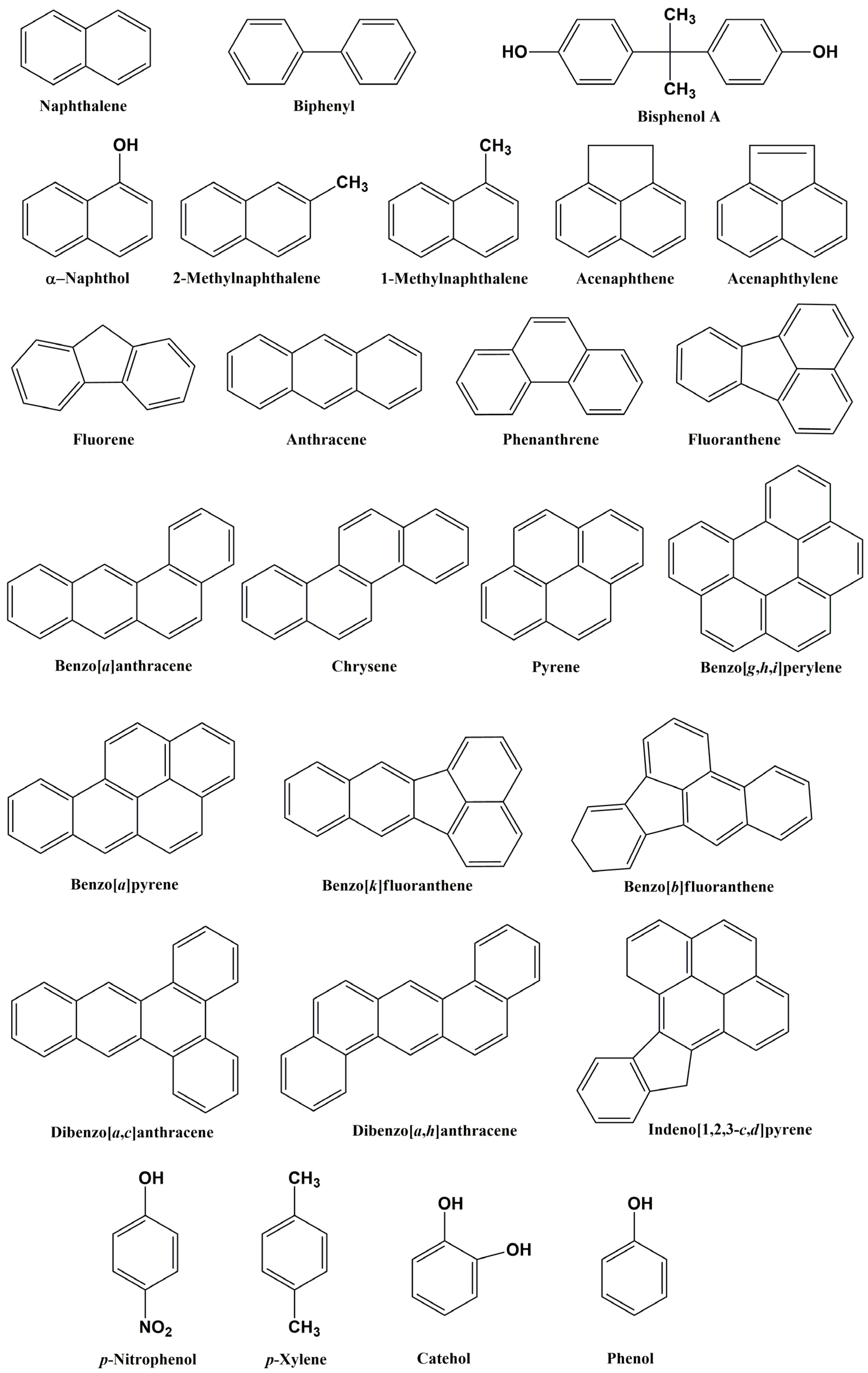 Microorganisms 12 01814 g001