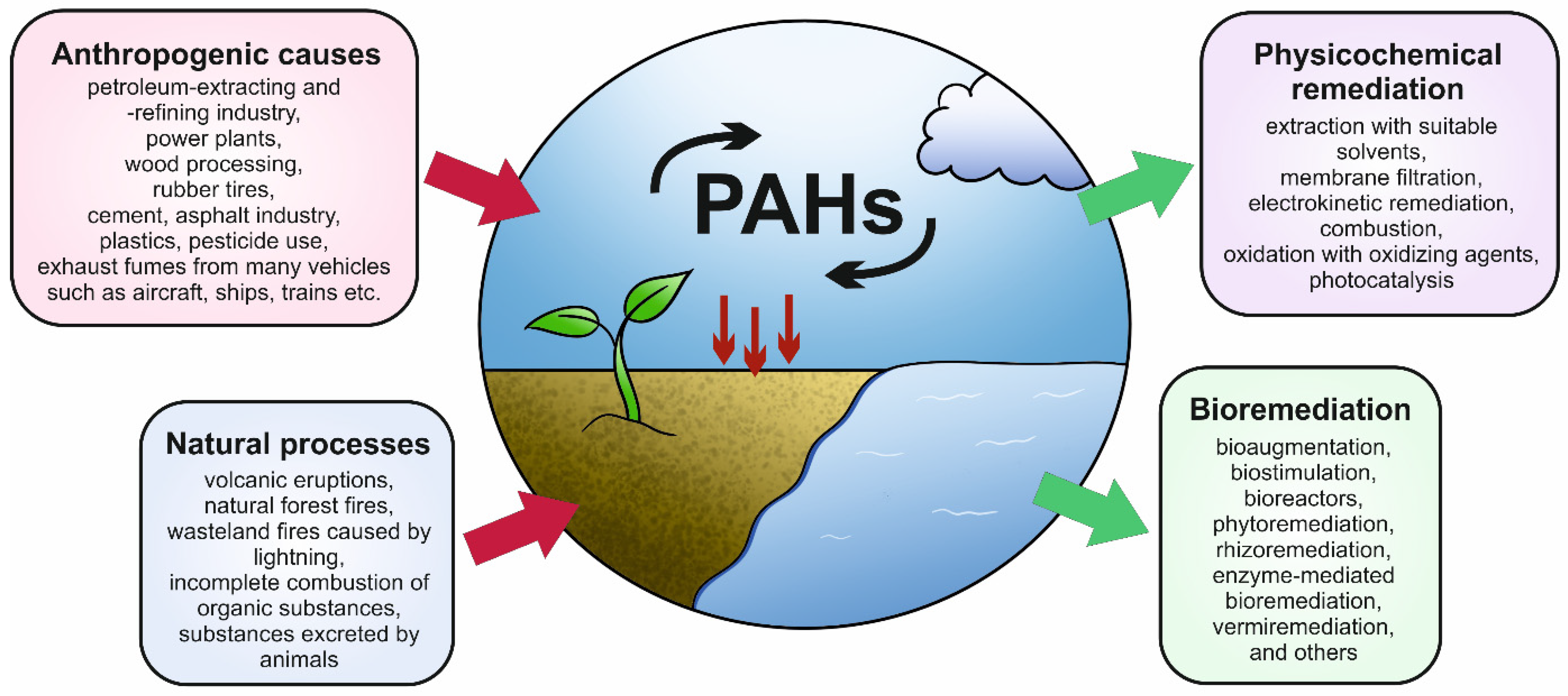 Microorganisms 12 01814 g002